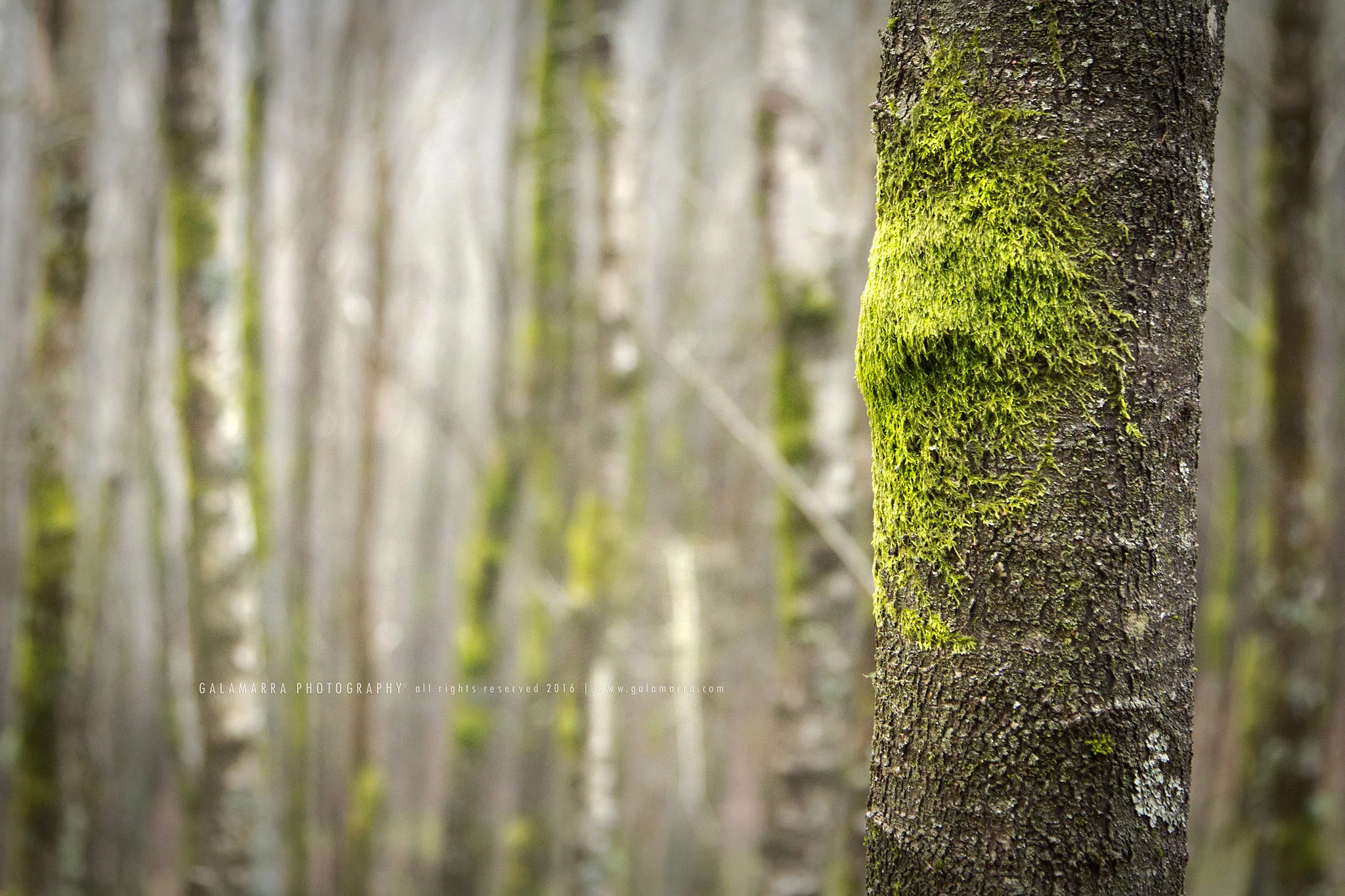 I can almost see you