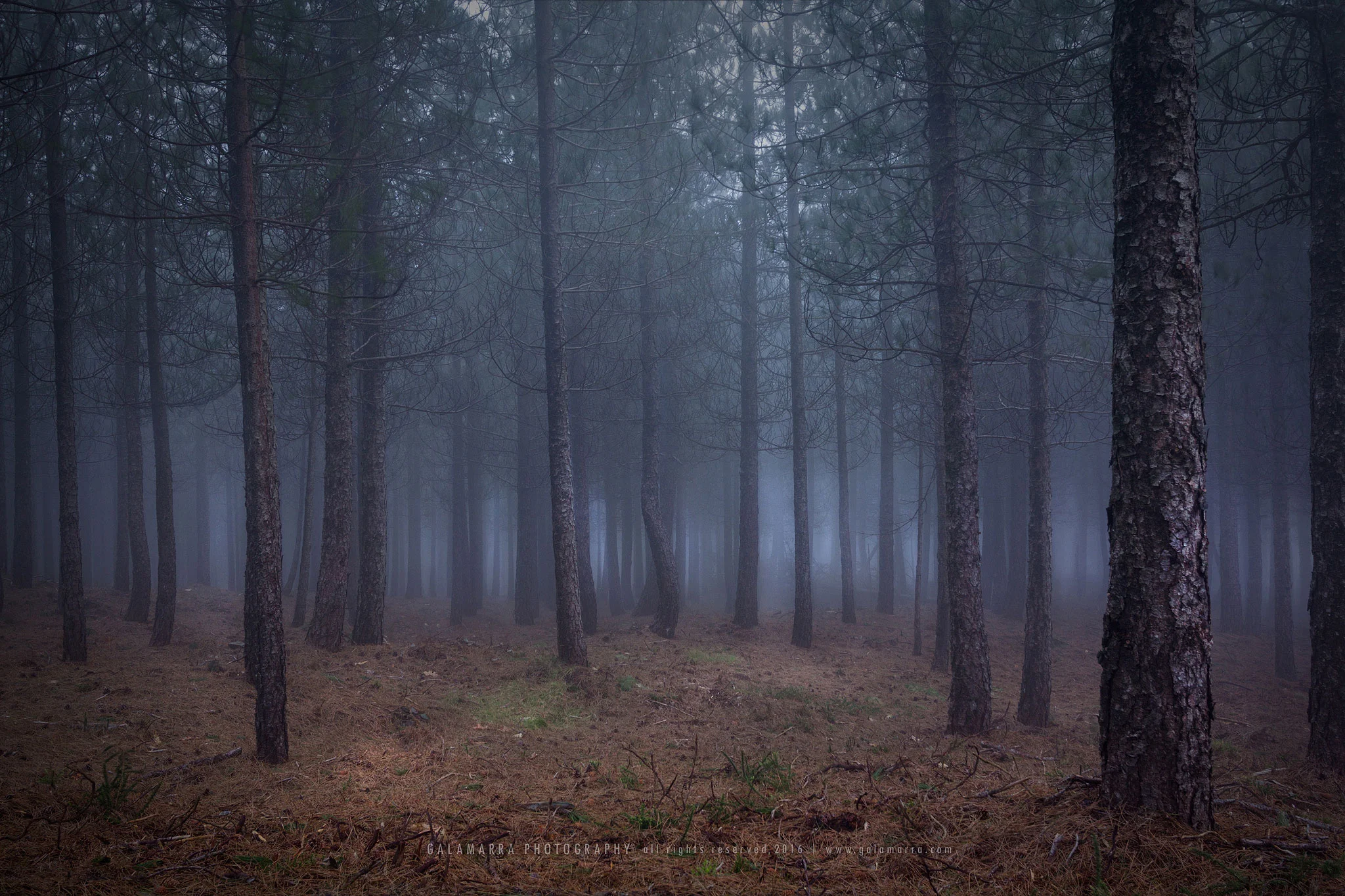 Mystic mysterious feeling