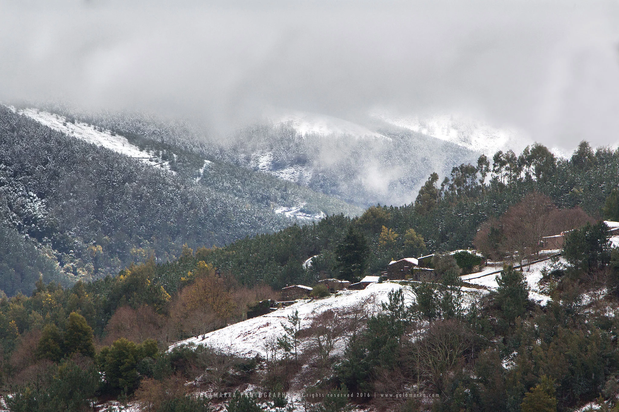 Feelings of snow II - Casal Novo