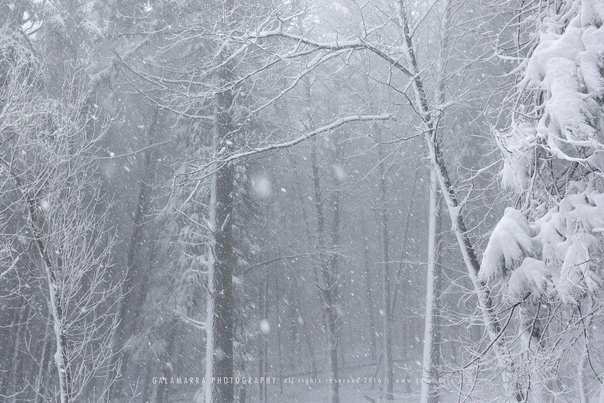Feelings of Snow
