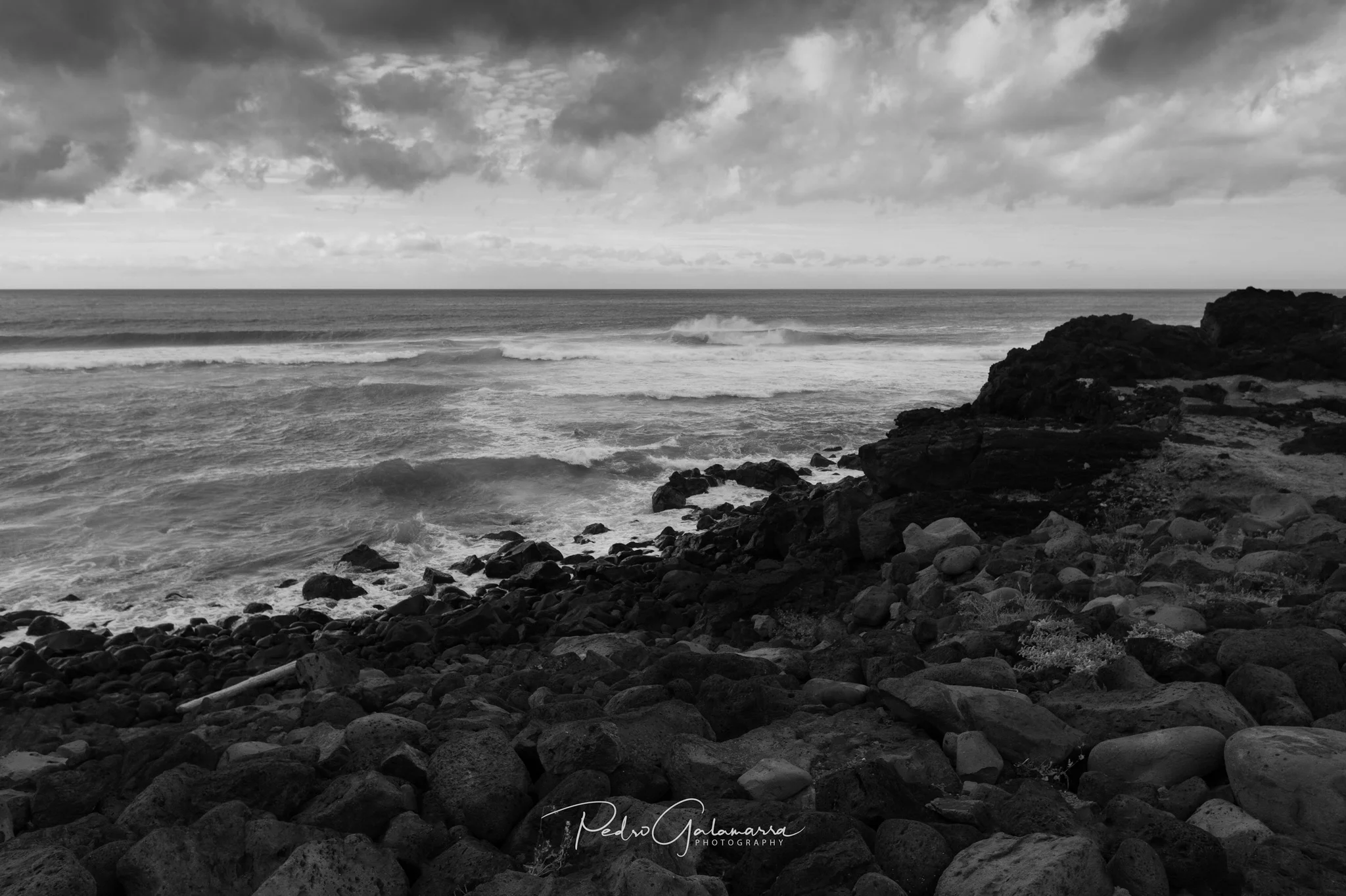 galamarra_MG_3584_rb_bnw_web.jpg