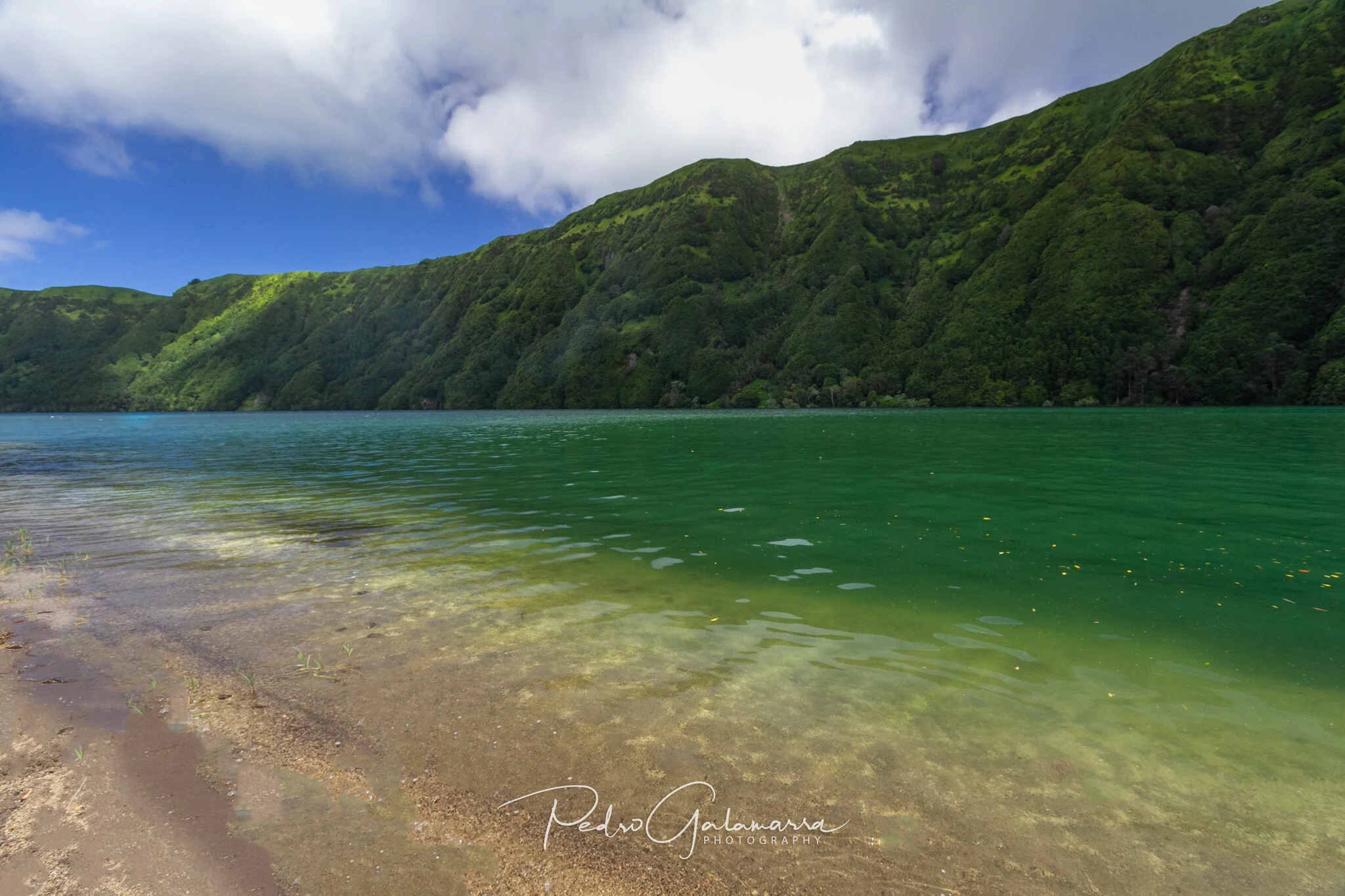 In Lagoa das Sete Cidades III