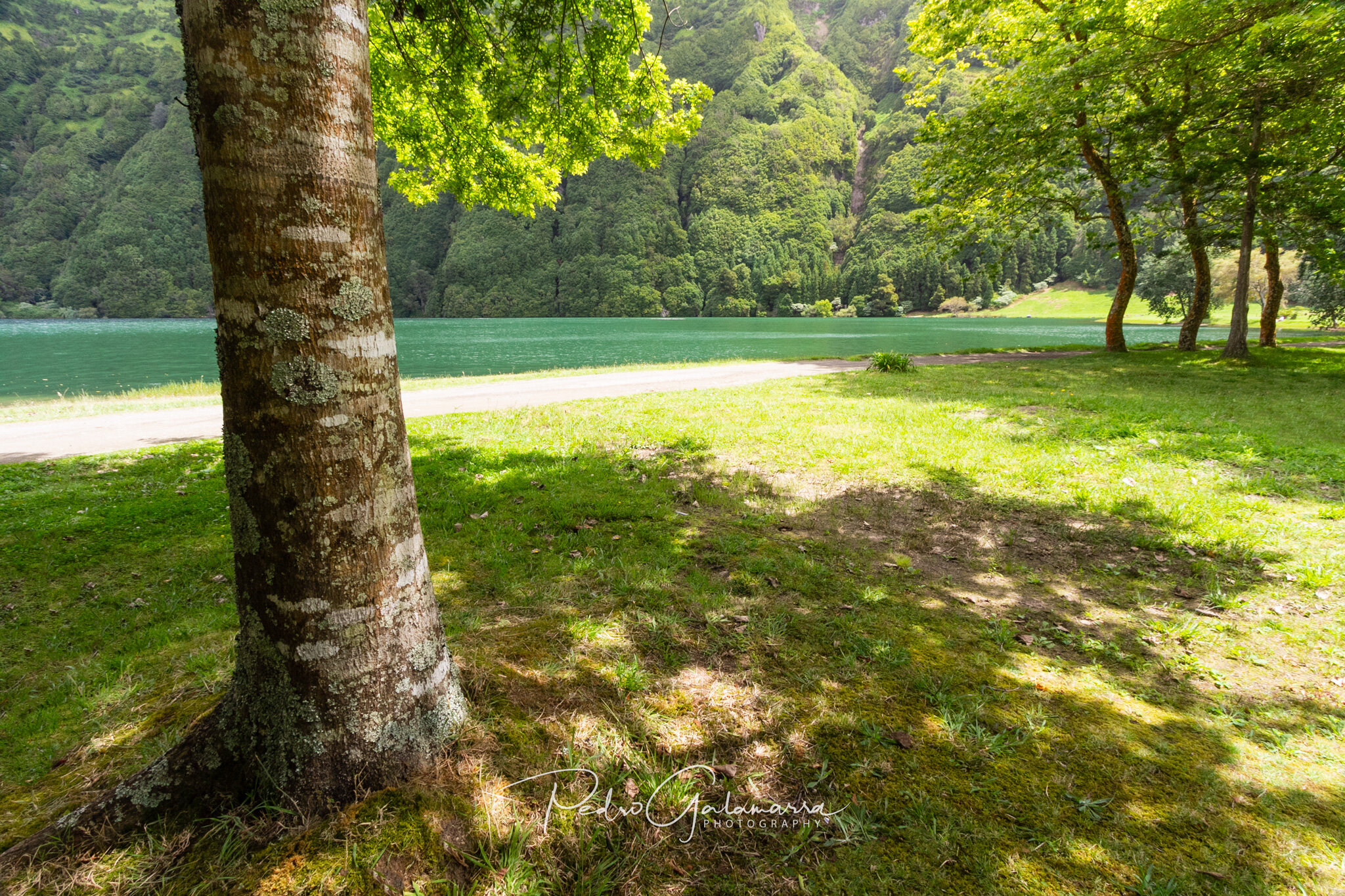 In Lagoa das Sete Cidades I