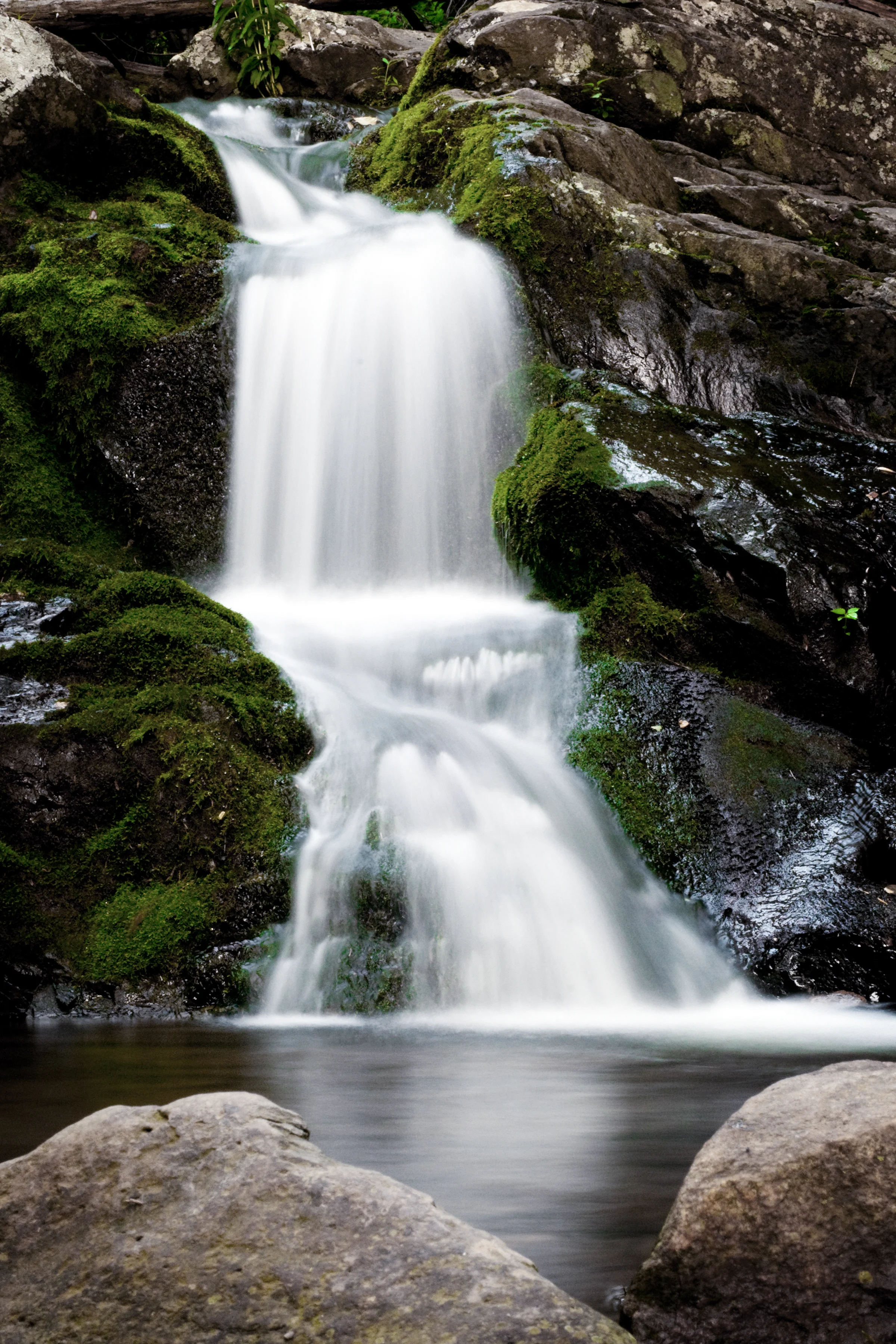Waterfall in the Shenandoah National Forest.