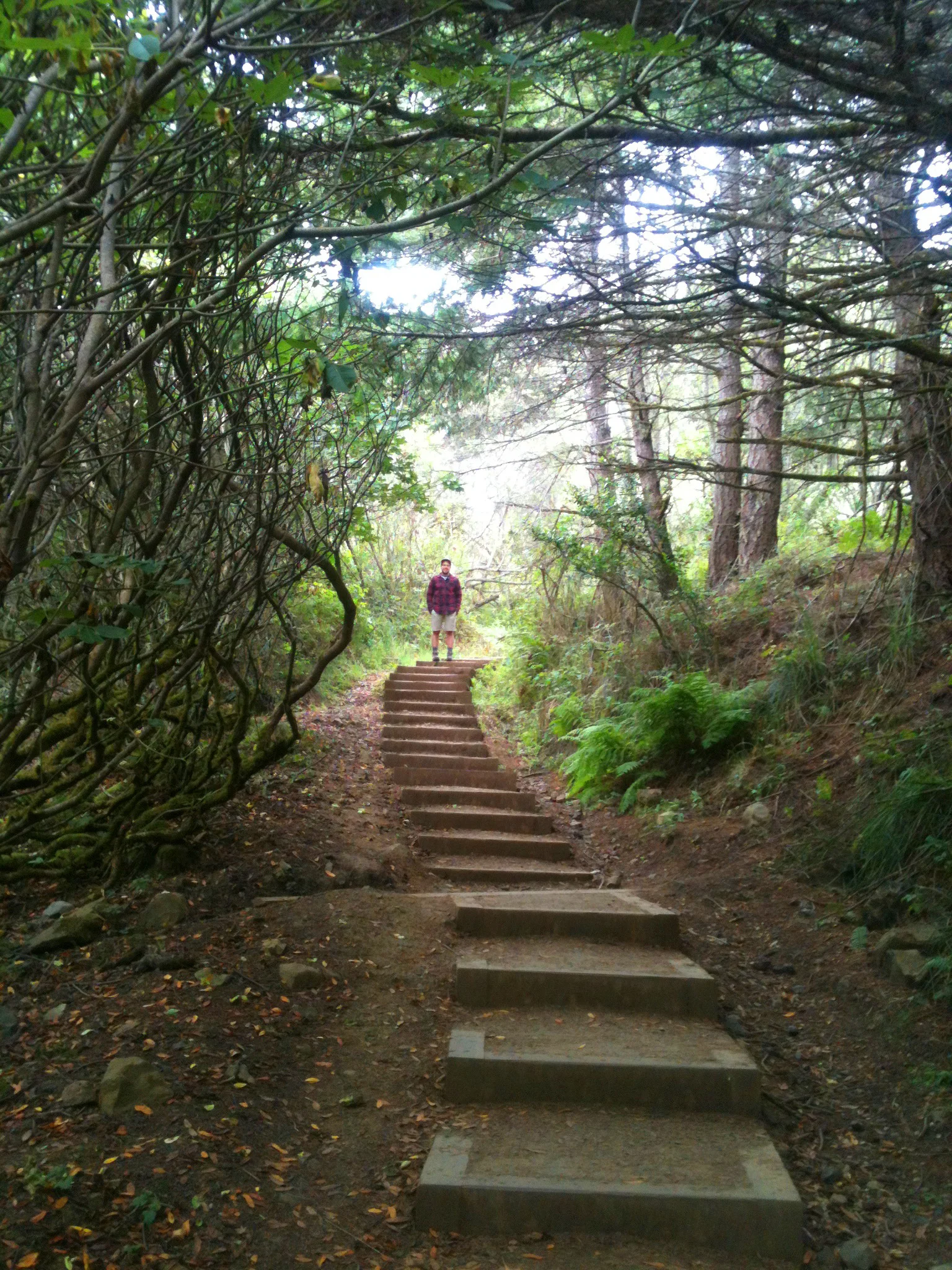 Good beginnings start with winding staircases. That's Bryan way up there.