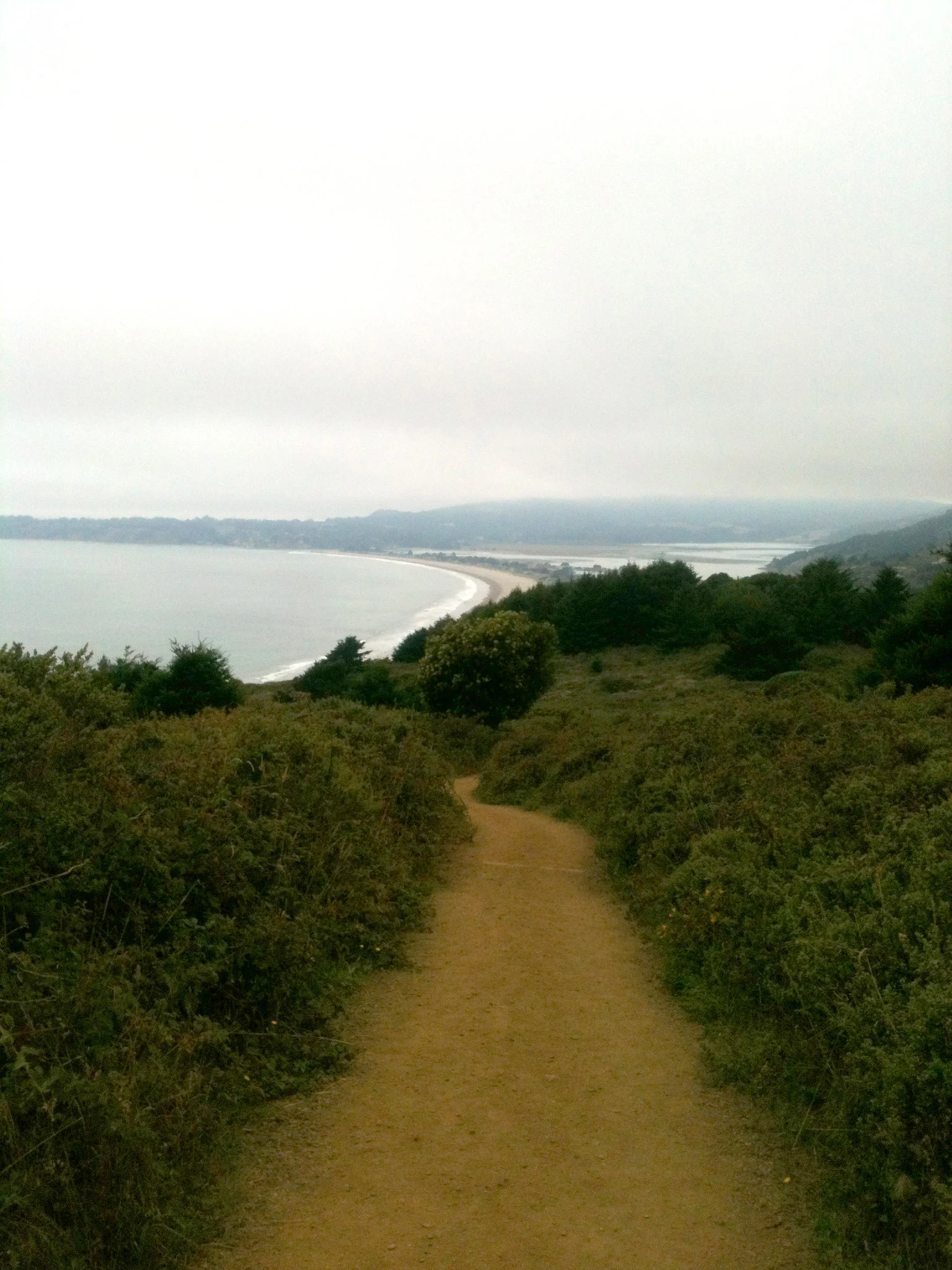 A foggy trail above Stinson Beach.