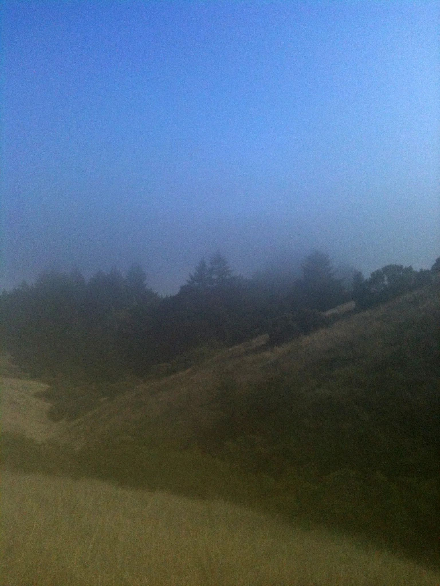 This part of the trail wove in and out of the fog.