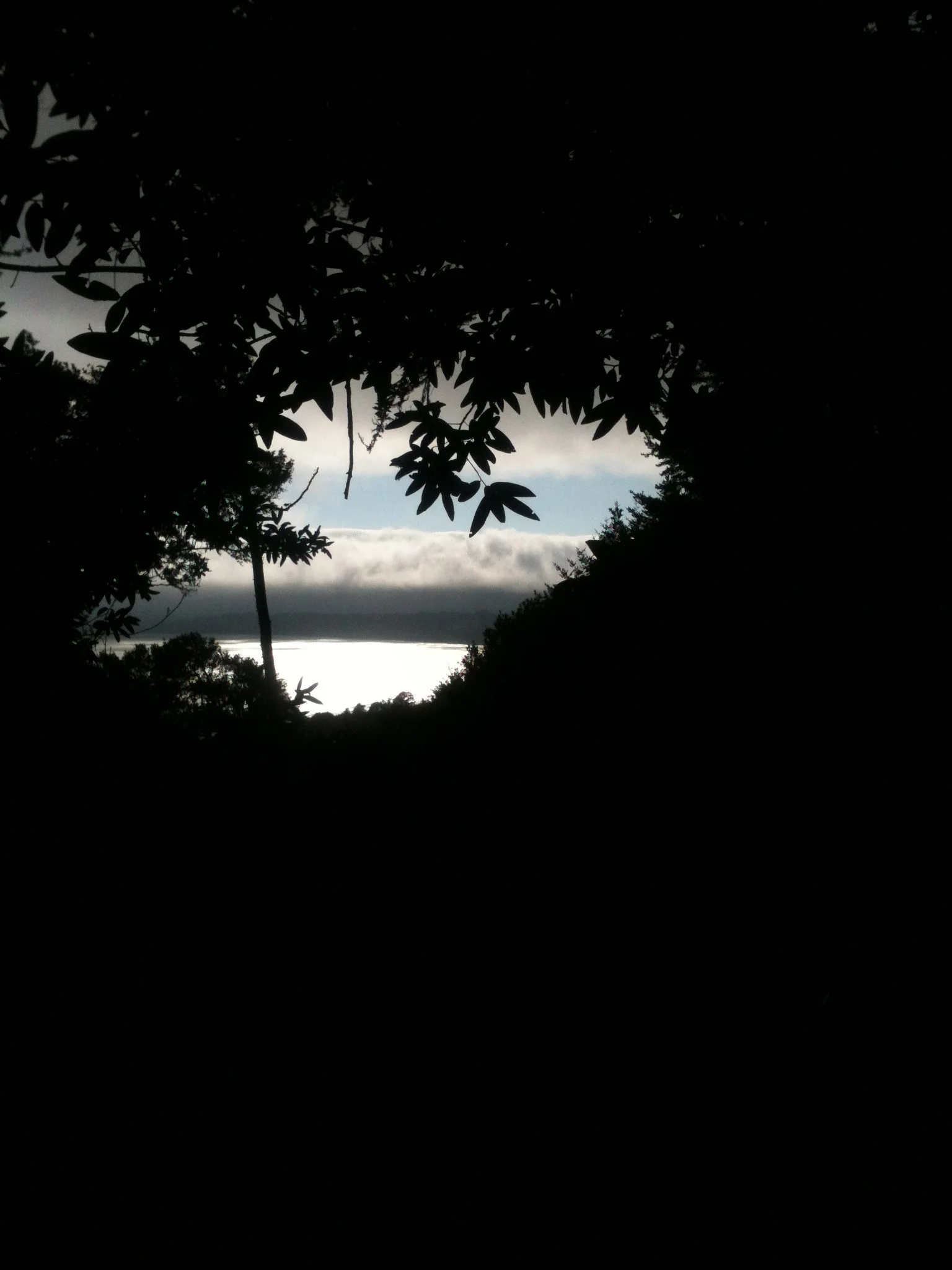 We wrapped up the hike around 6 or so. The thick trees made a nice peephole to the sea.