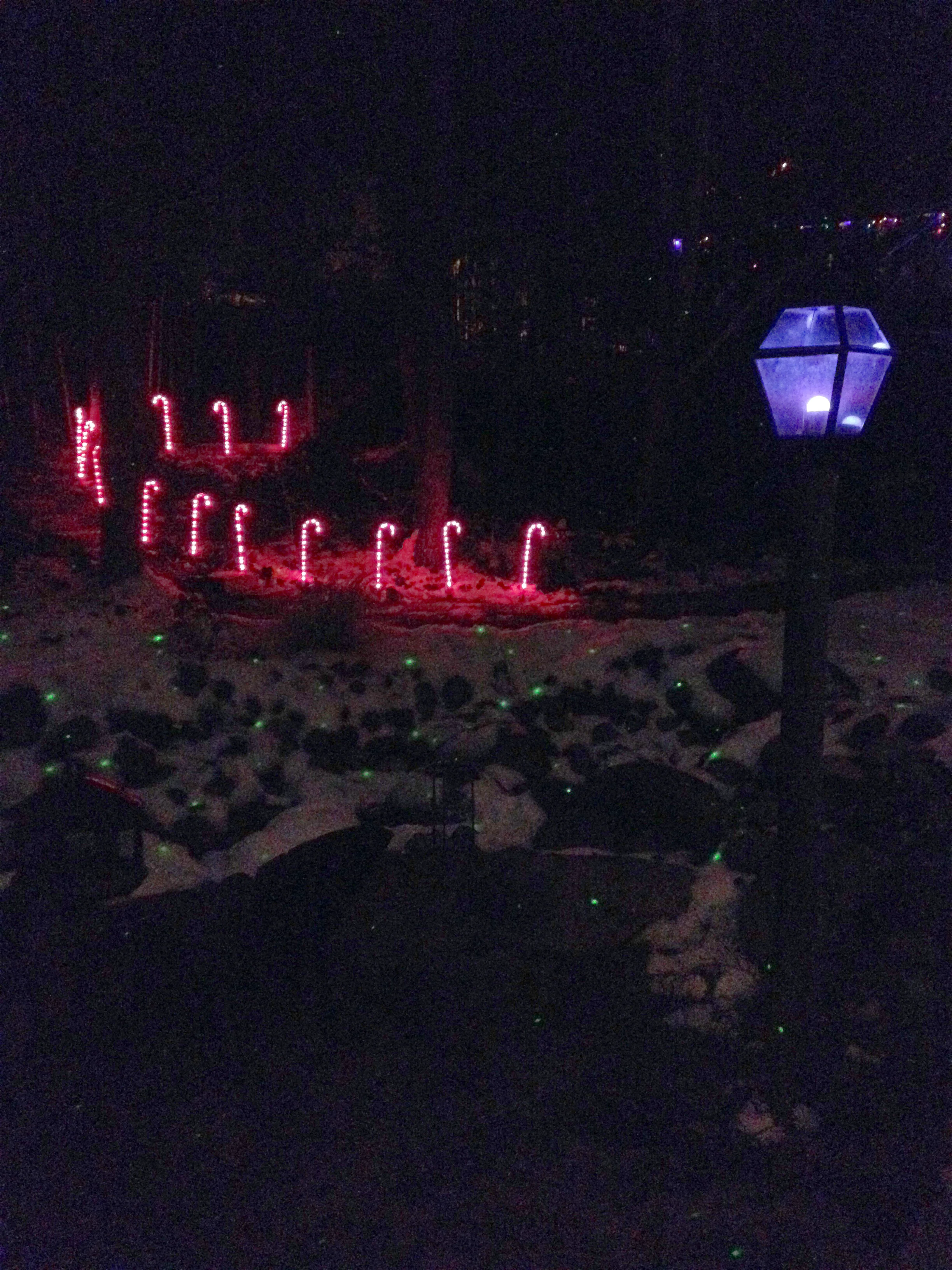 Seriously, it was like the North Pole here. This was the scene behind our hotel. A creek ran behind it and everything was decked out in lights.
