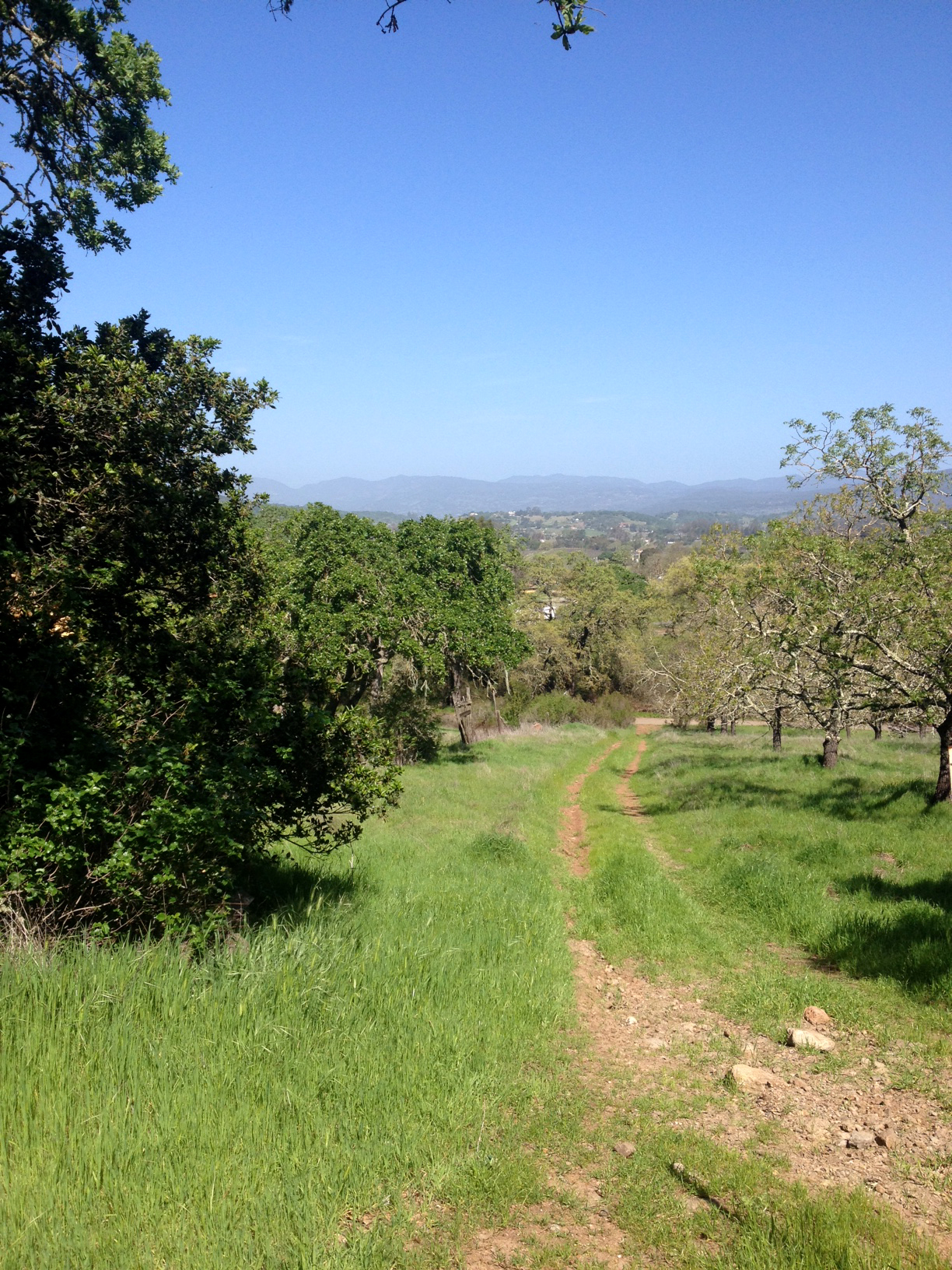 View from a recent hike on Saturday in Napa's Skyline Wilderness Park