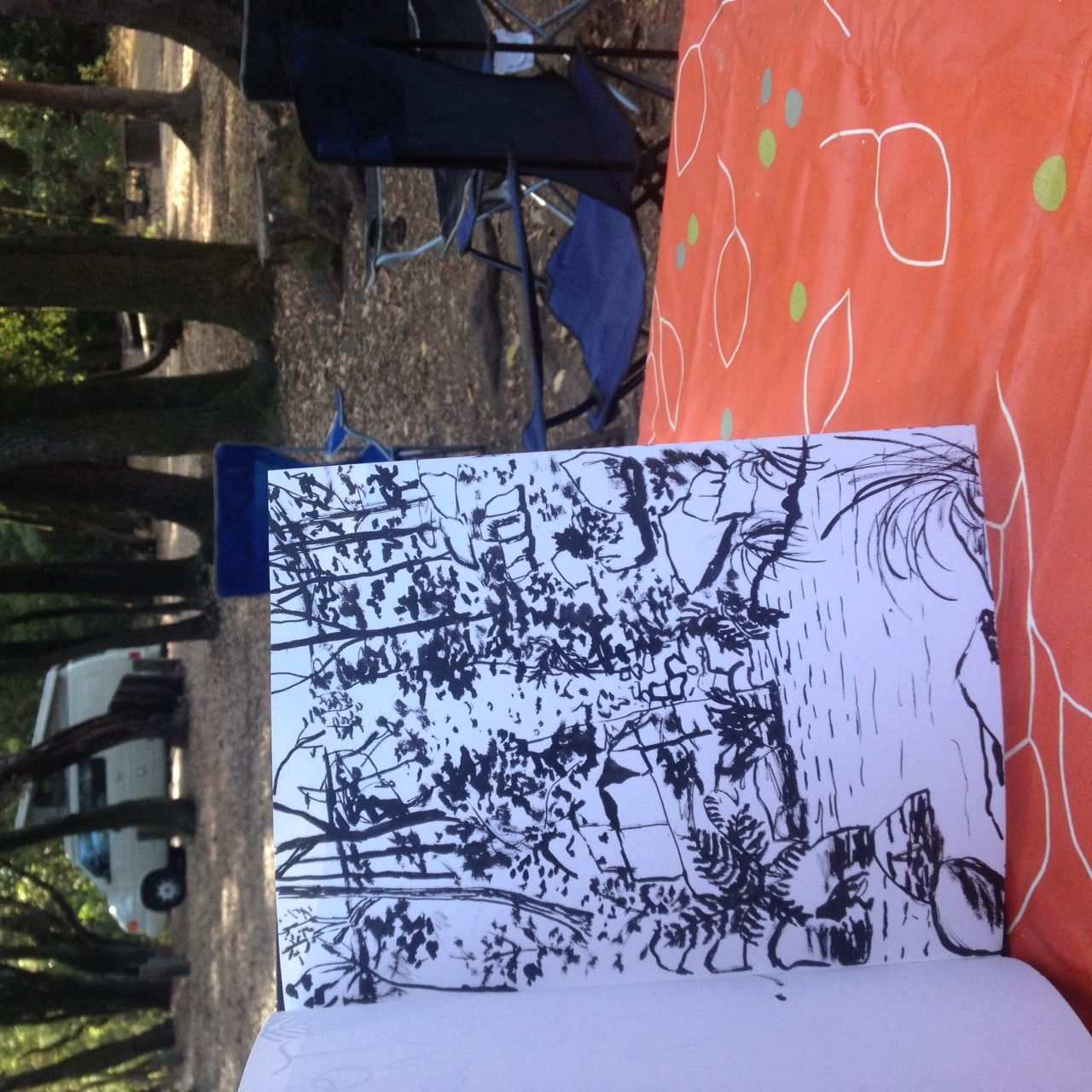 Sketching the Garden of Eden swimming hole at the Henry Cowell Campground