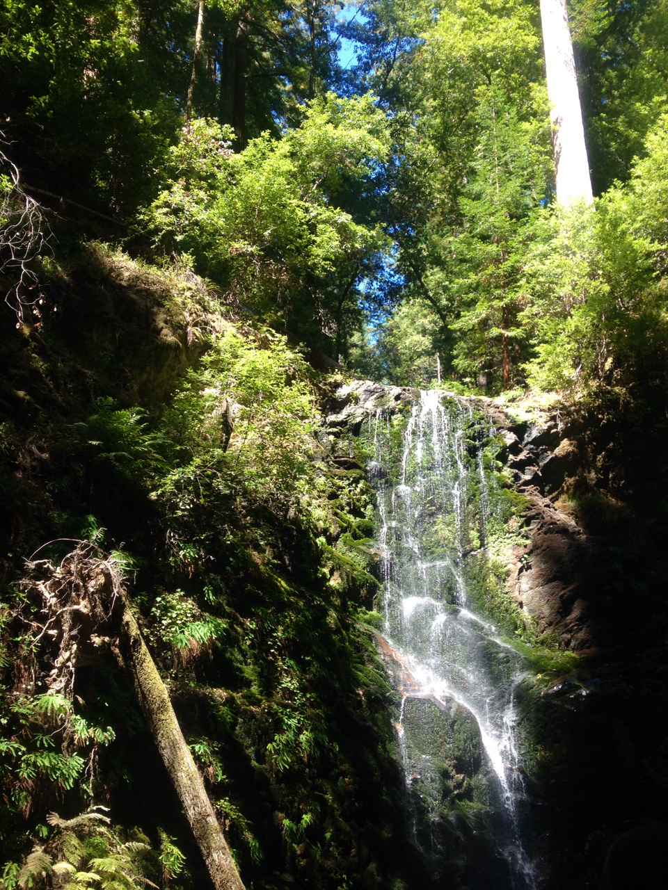 Berry Creek Falls