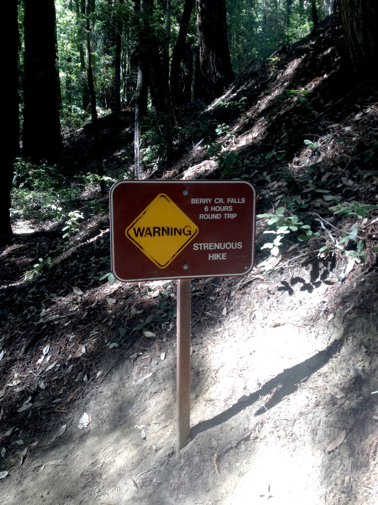 Berry Creek Falls trail