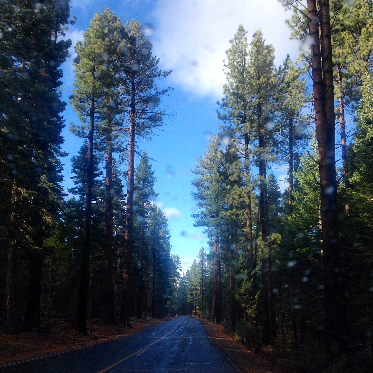The rainy and sunny road south.