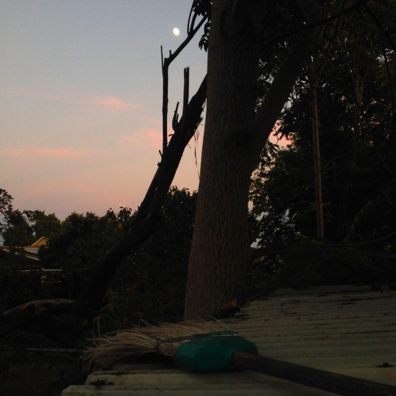 Moonrise over my broom.