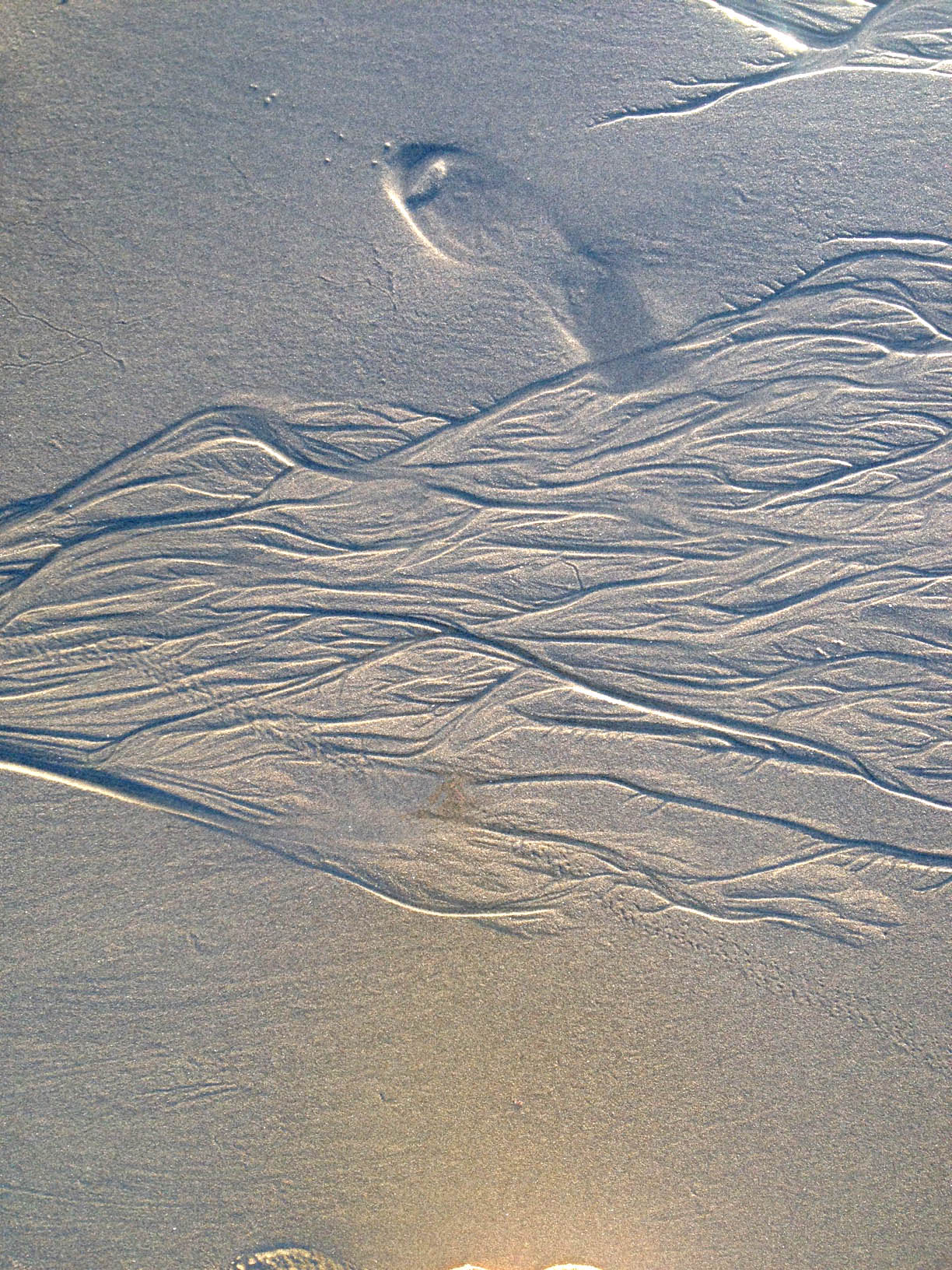 More sand lines. 