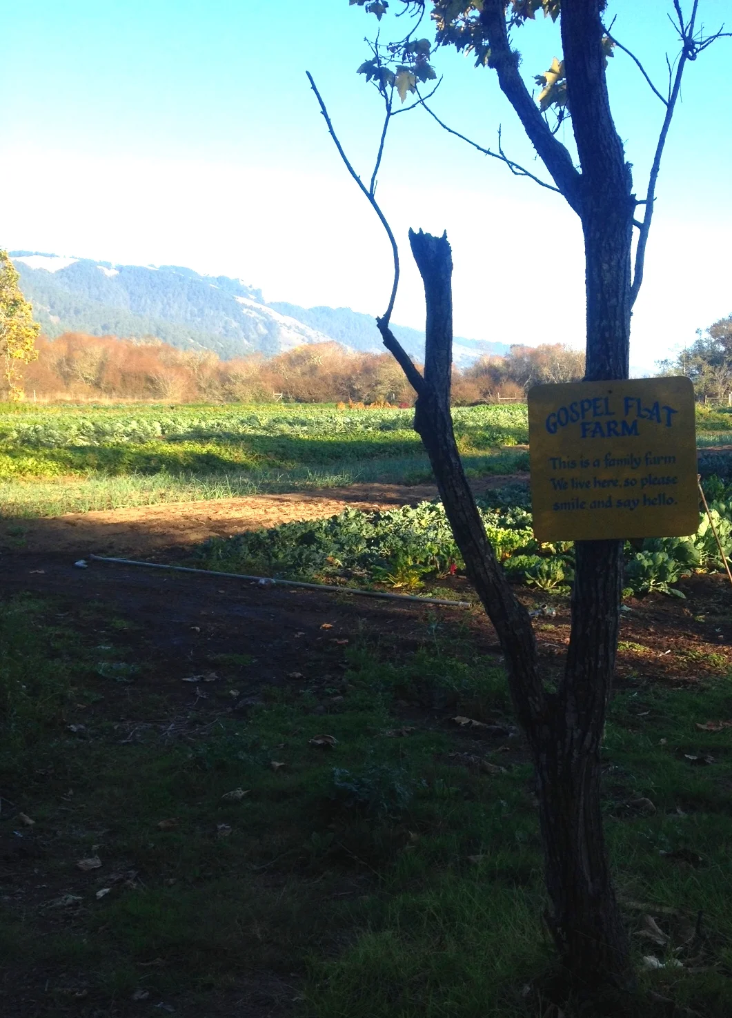 Gospel Flat Farm - This is a family farm. We live here so please smile and say hello.