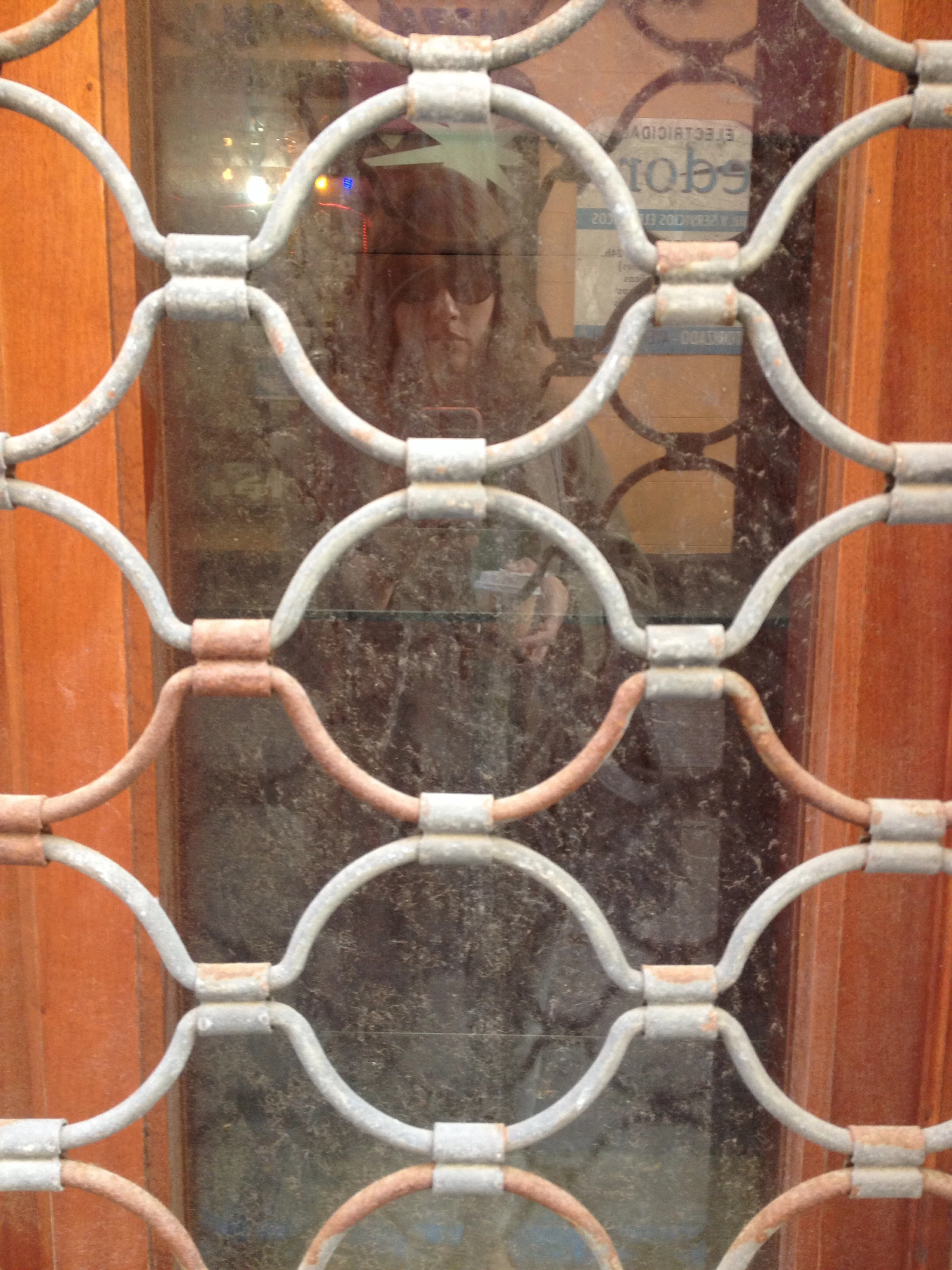The prettiest chainlink fence.