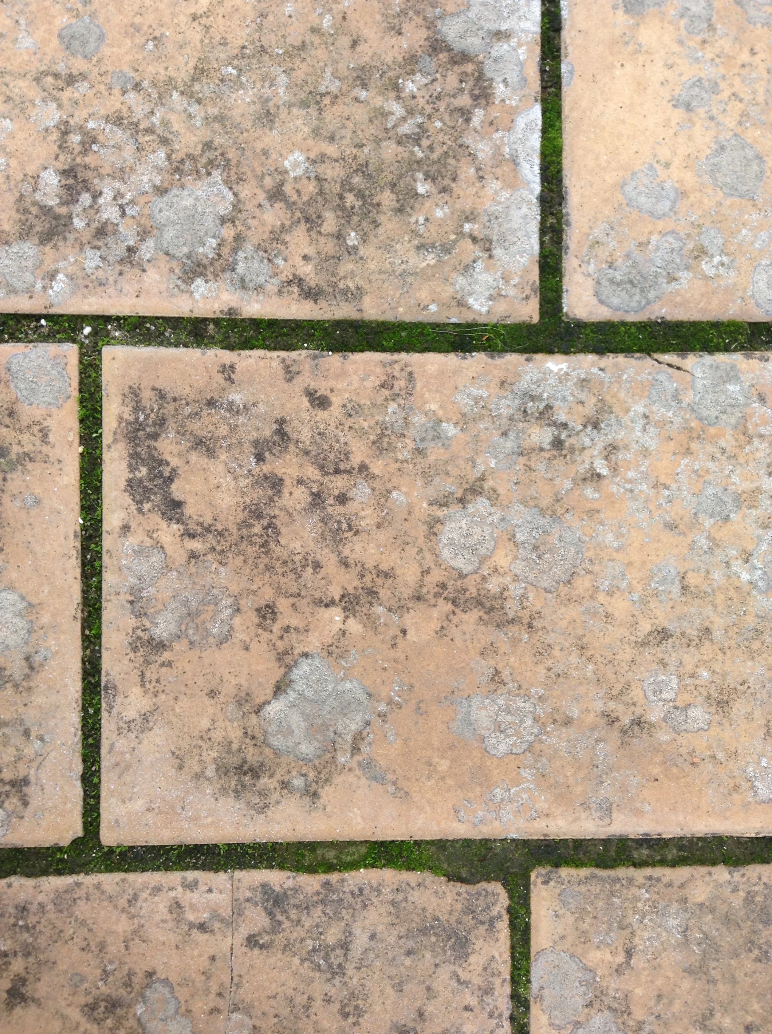 Spotty pink bricks on the studio rooftop with moss growing between.