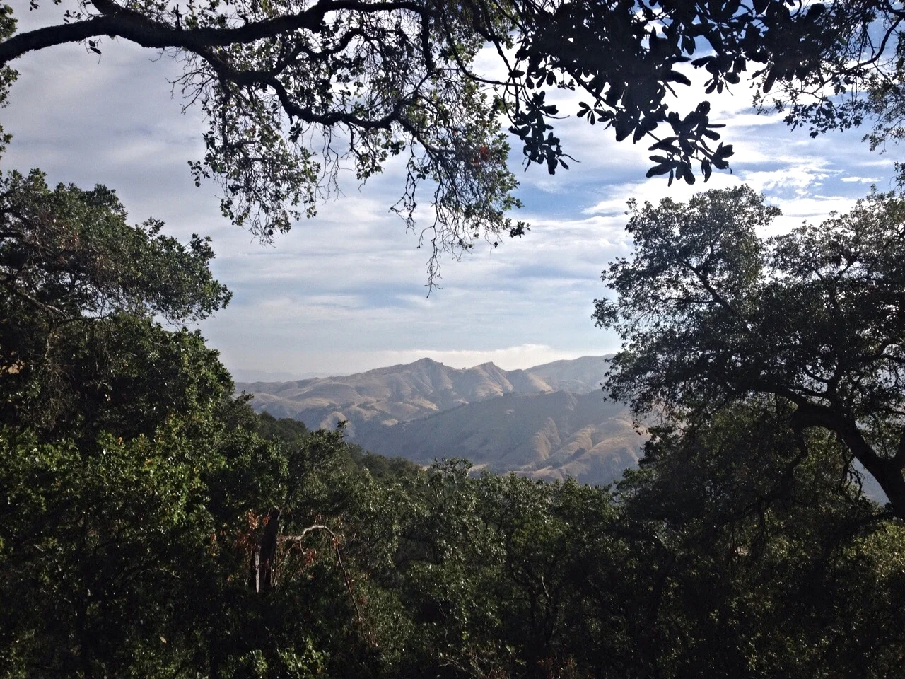 A little bit of shade on the trail