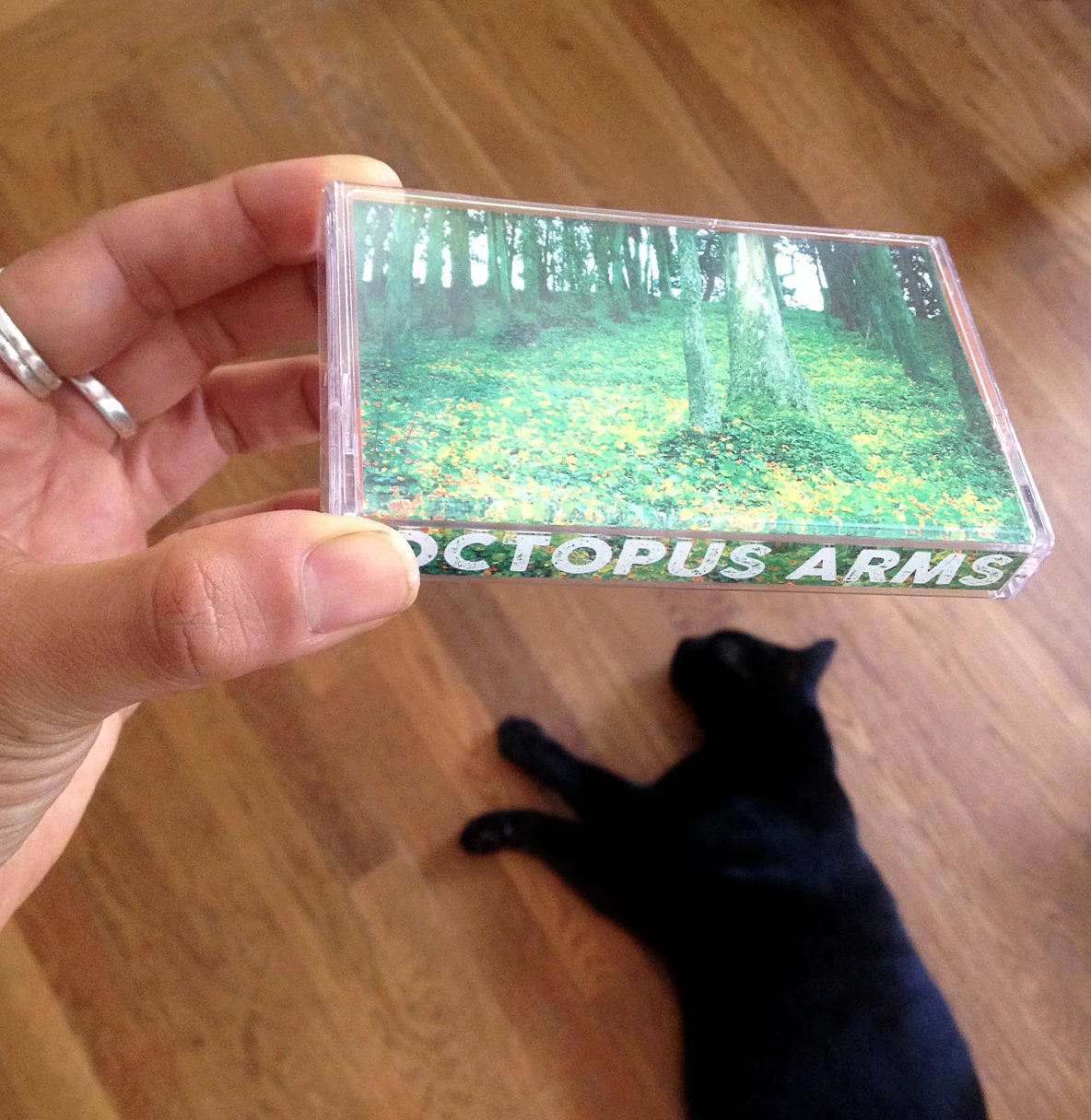 Oscar is digging the analog sounds of Octopus Arms
