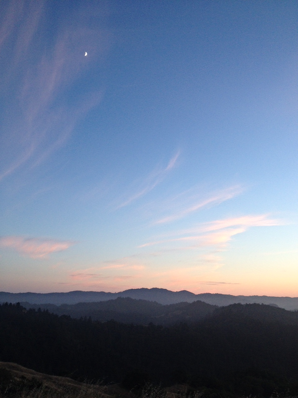 Another view of the skyline and the moon