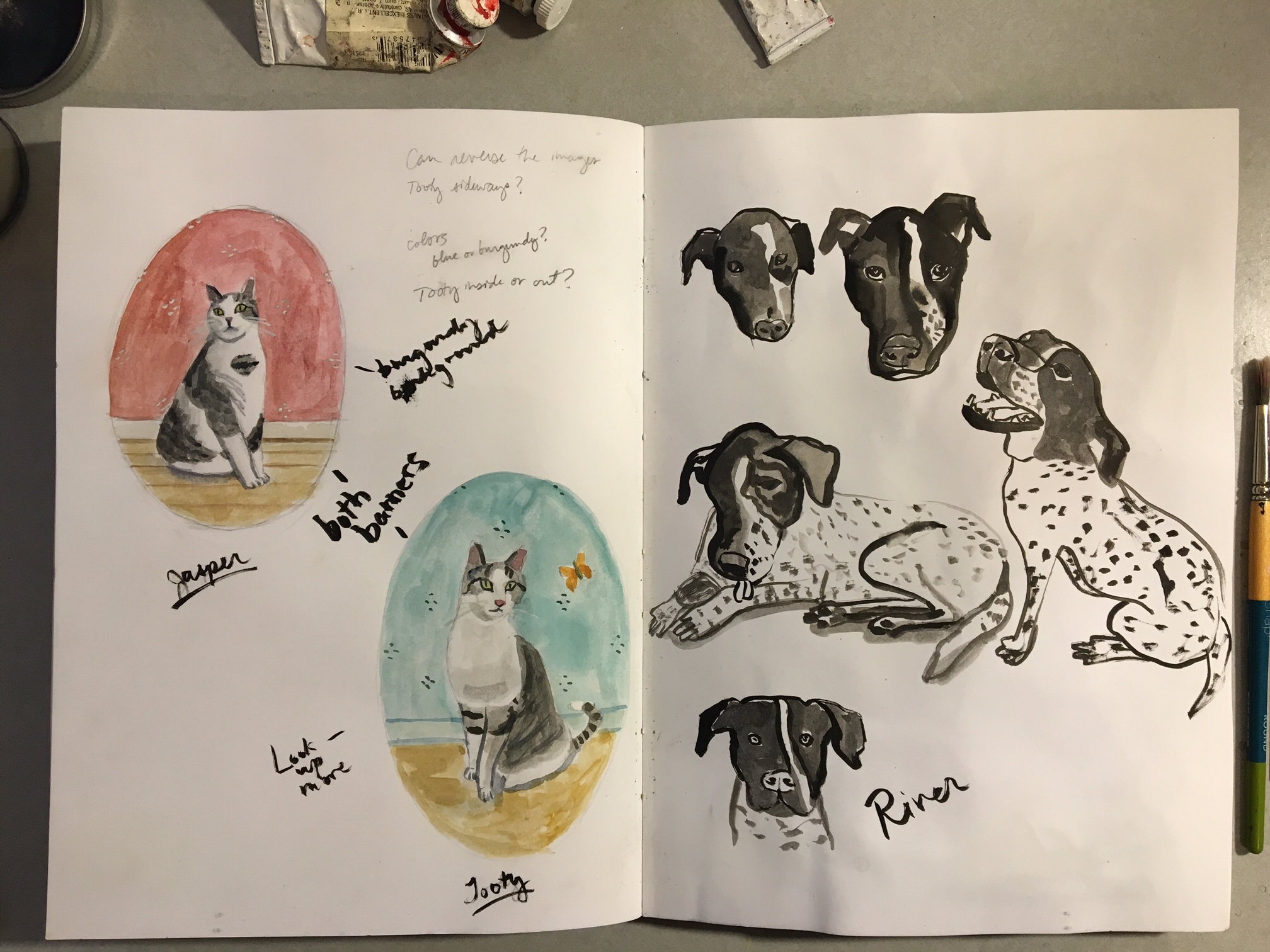 Pets! Some sketches for recent pet commissions