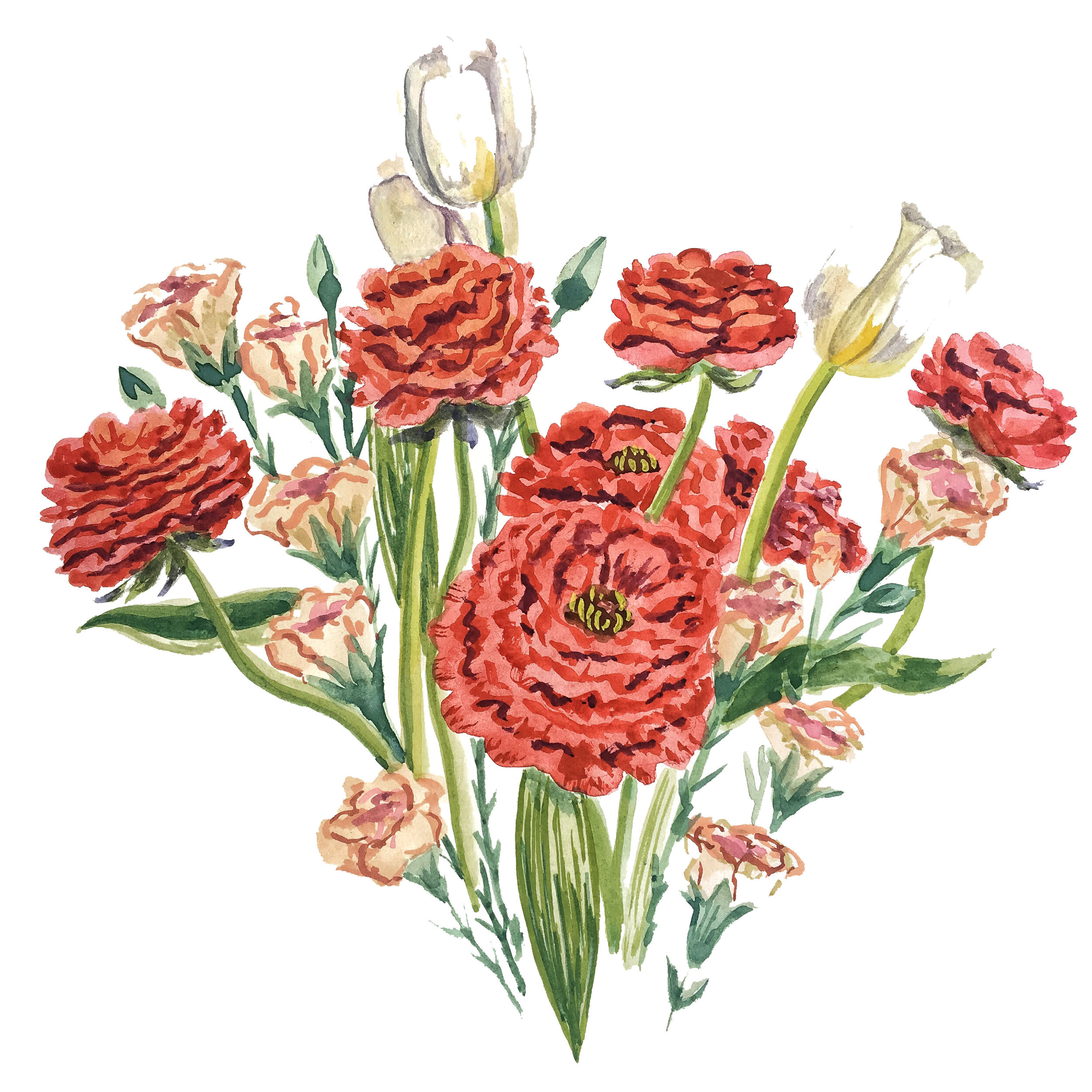 Rananculus & Tulips