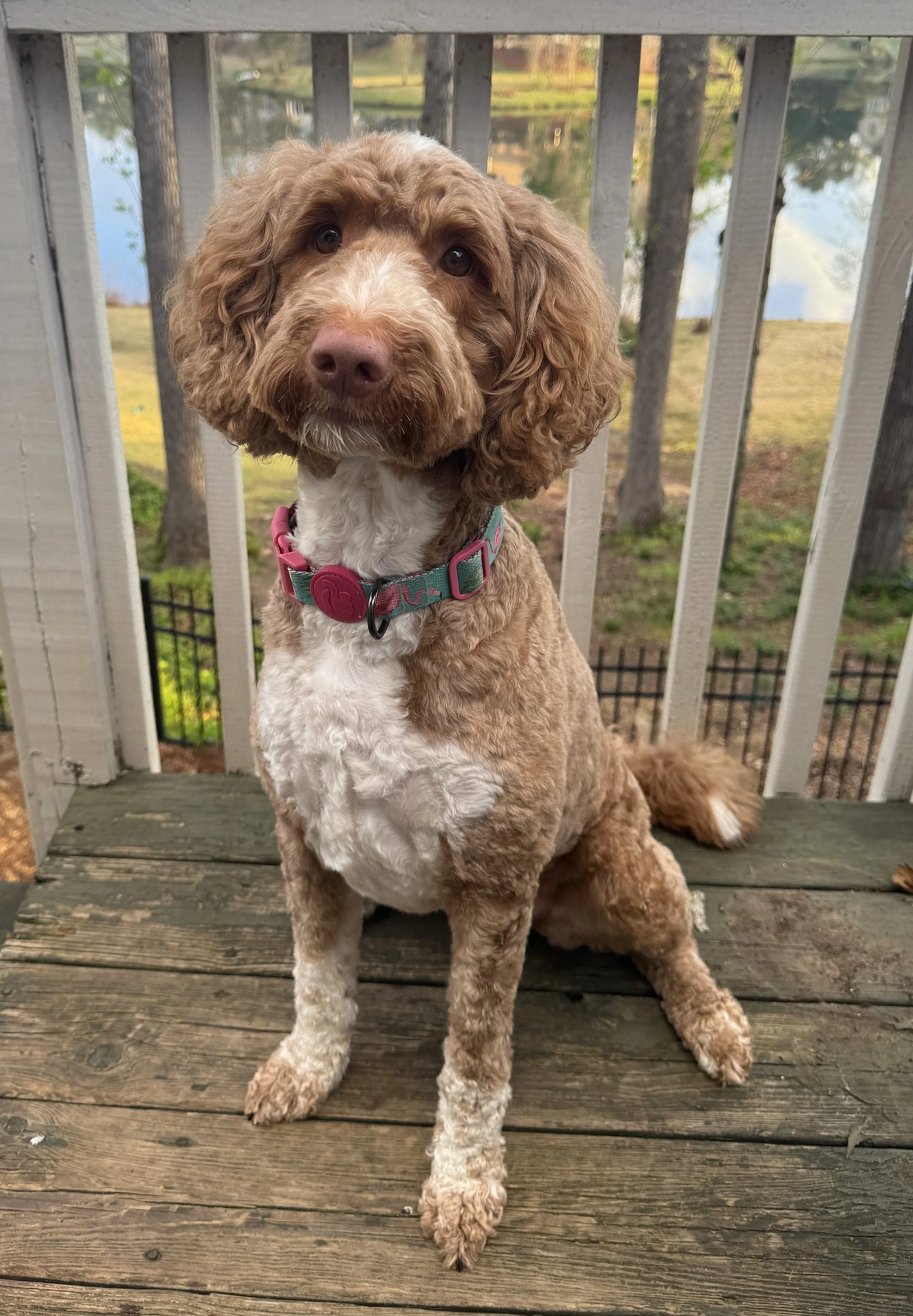 Mama: Anniston Pearl 'Annie'
