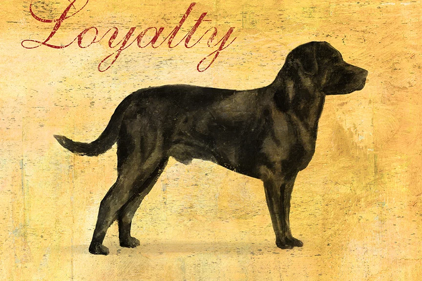 Loyalty-Black Lab