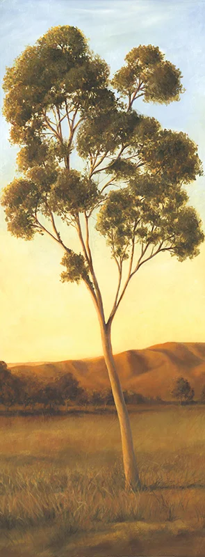Lonely Eucalyptus I