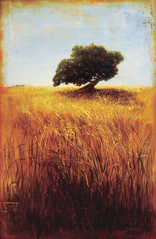 The Last Oak