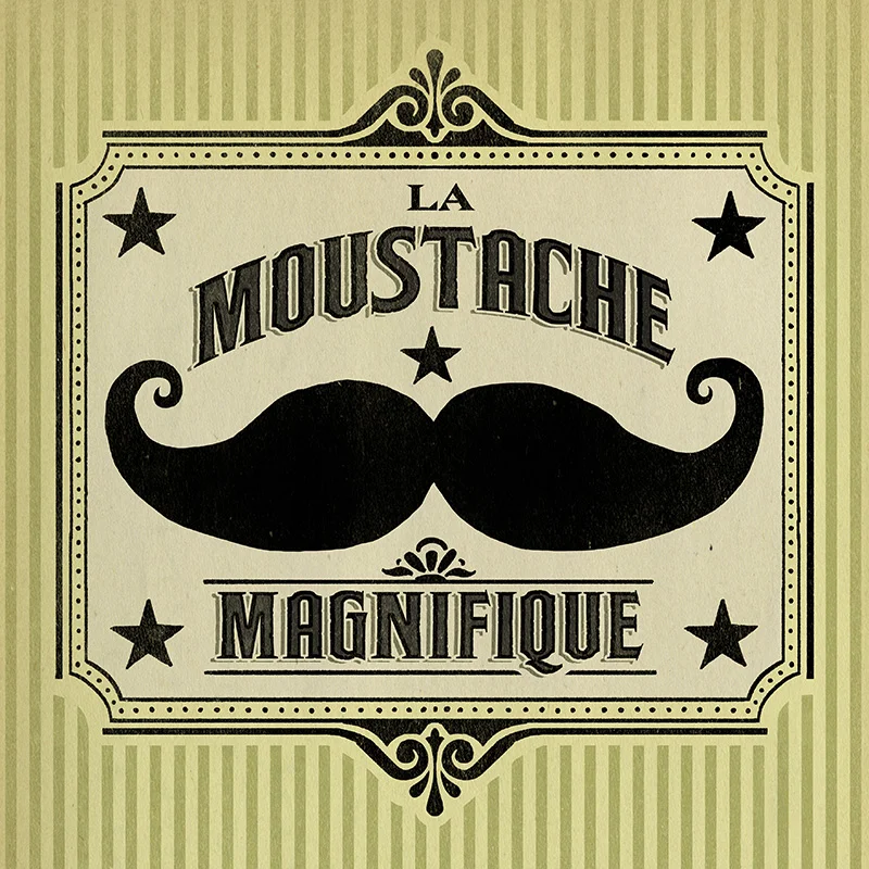 CSteffen-Mustache-0402-5420_Mustache-Magnifique.jpg