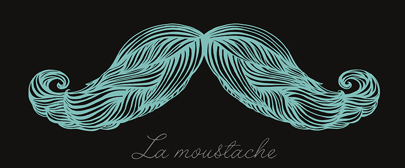 La Moustache Bleu.jpg
