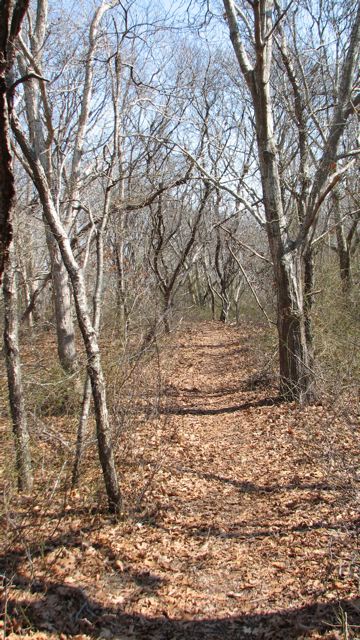 It's not really a garden but an inviting oak/beech forest with large shimmering vernal pools and splendid views of Fort Pond Bay, Block Island Sound, and the wetlands of Culloden Point, named for the Culloden , a British warship that wrecked on the coast during the American Revolution.