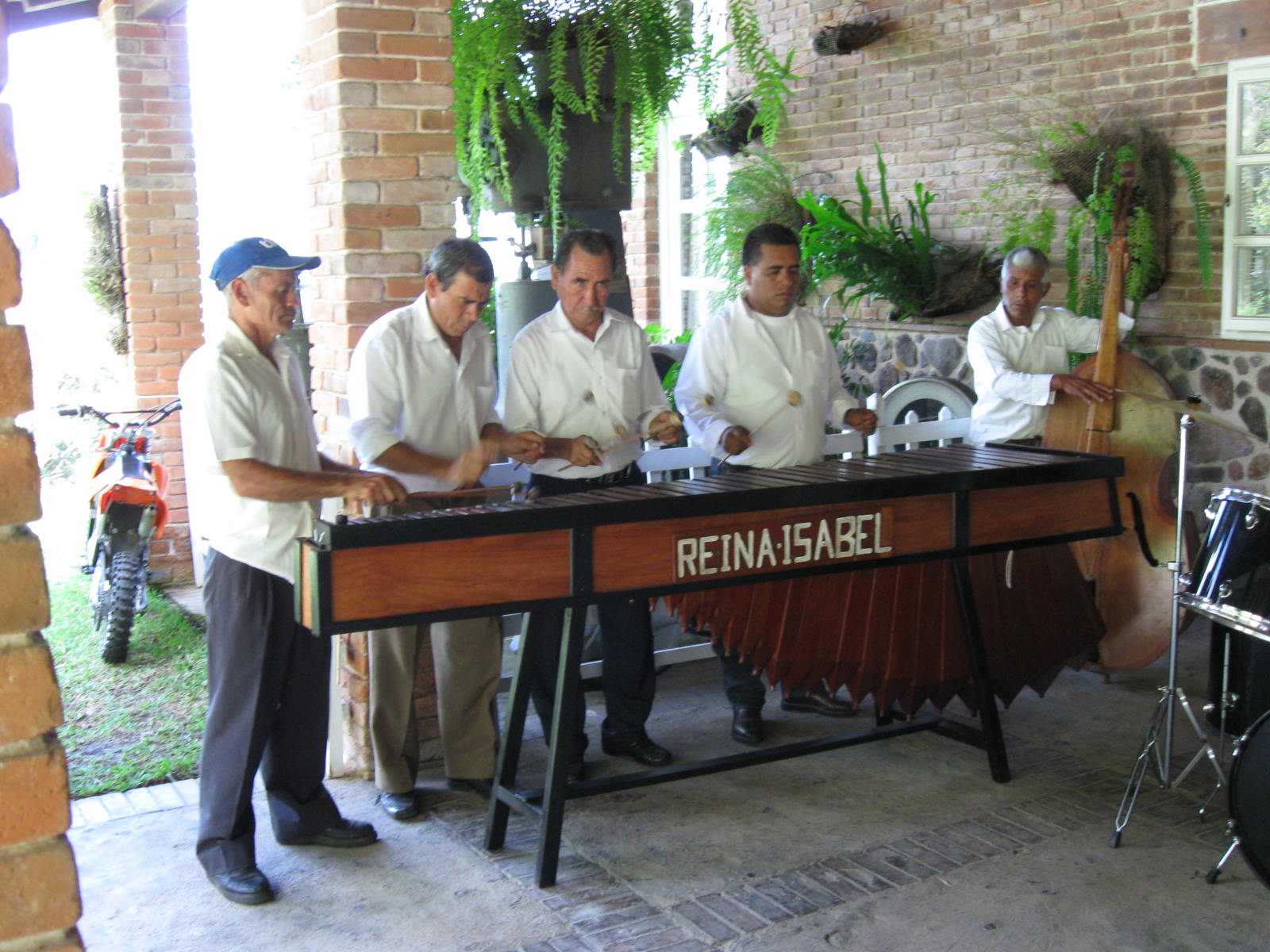 Merengue Band