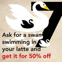 DEC. 18 - 7 SWANS A SWIMMING Ask for a cocoa or cinnamon swan swimming in your latte and get your drink 50% off at Vienna Coffee House .
