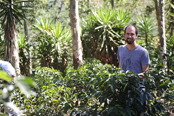 Coffee Fields