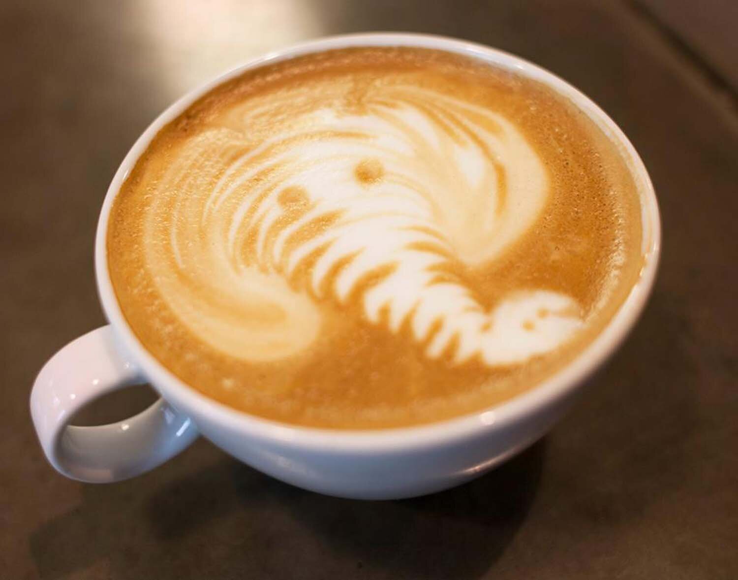 Cassia's latte art, poured elephant.
