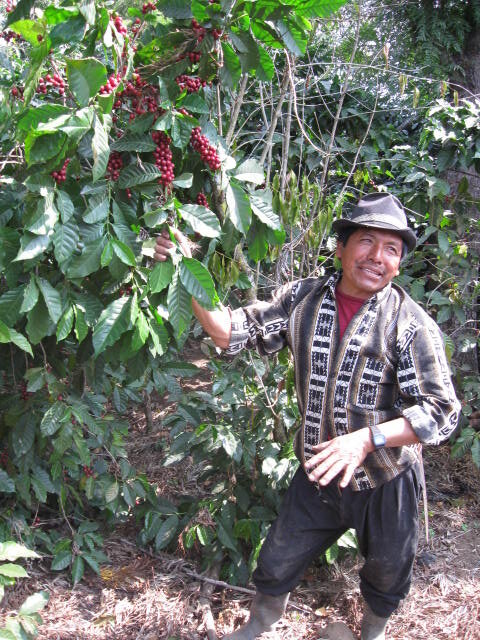 Demetrio shows off his crop Guatemala Origin Trip 2010 053 (1).jpg