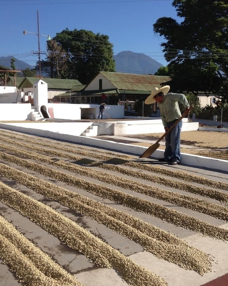 Finca San Jeronimo Miramar's drying beds