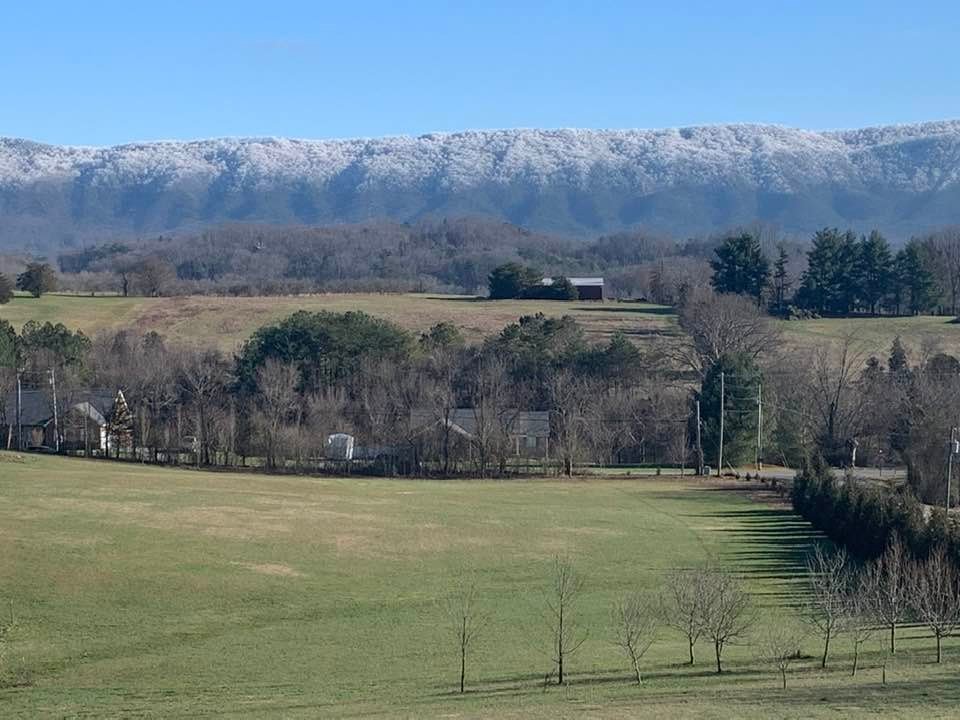 Hoar Frost on Chilhowee Mountain