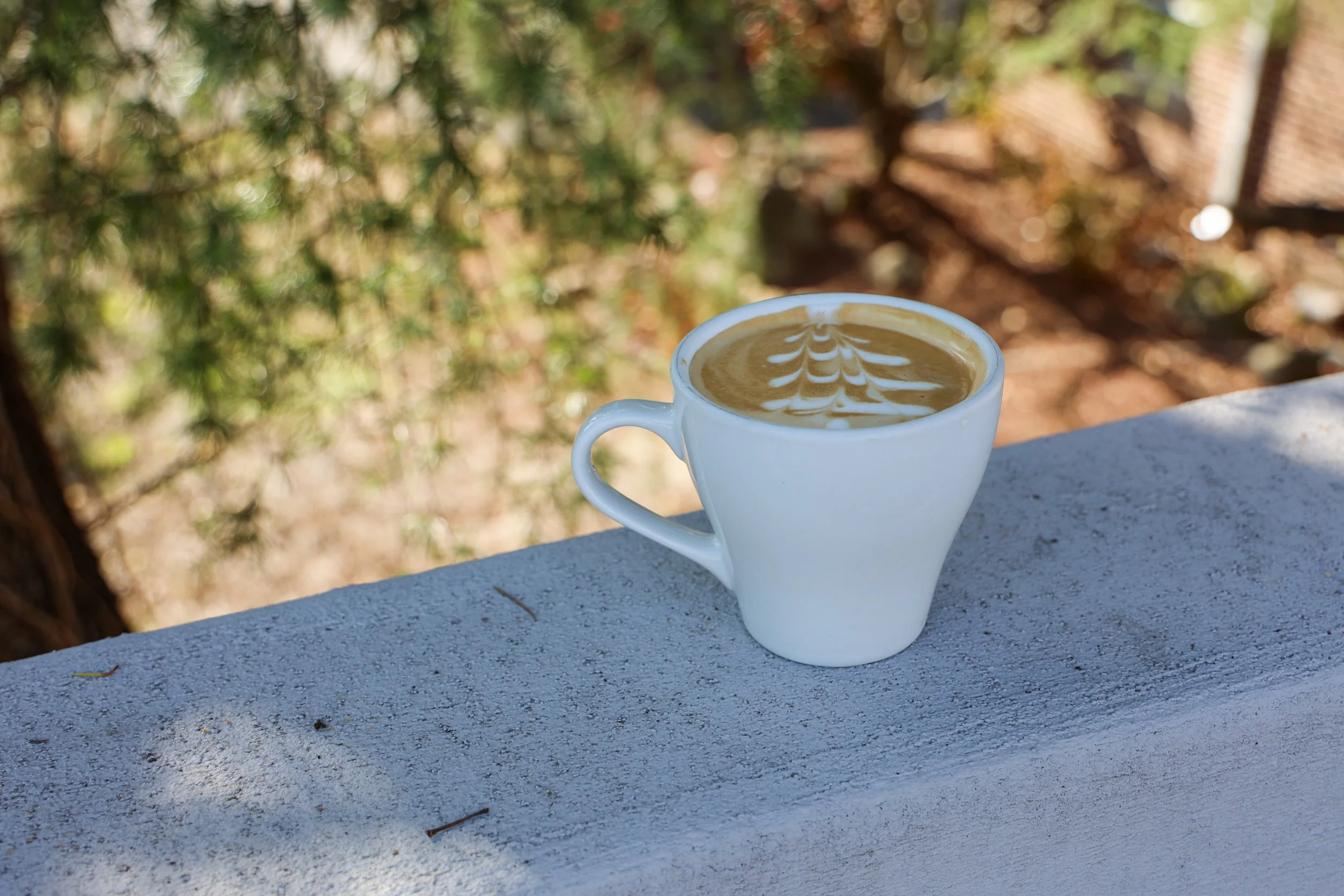 Hazelnut Brittle Latte