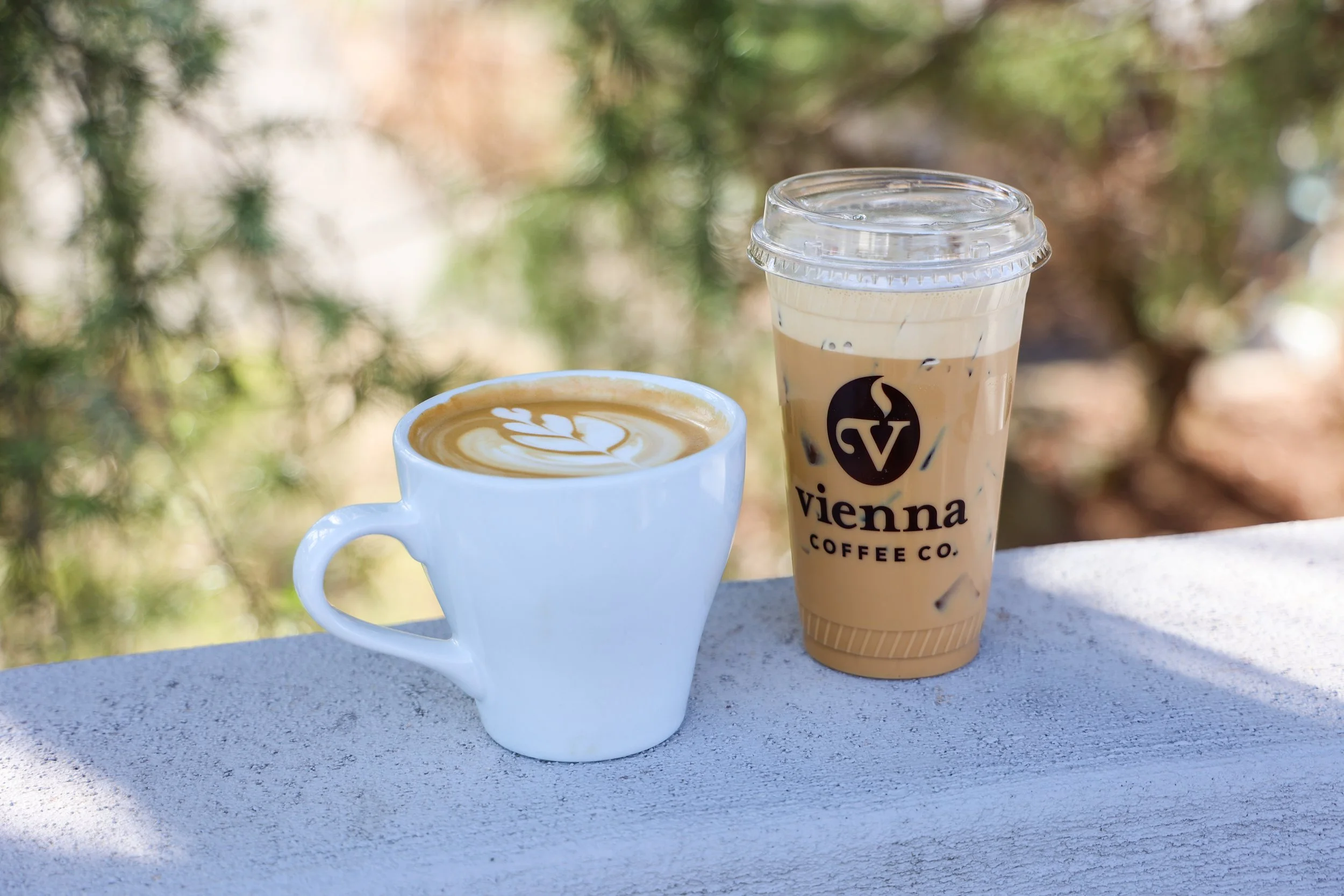 Polar Mocha & New Year's Resolution