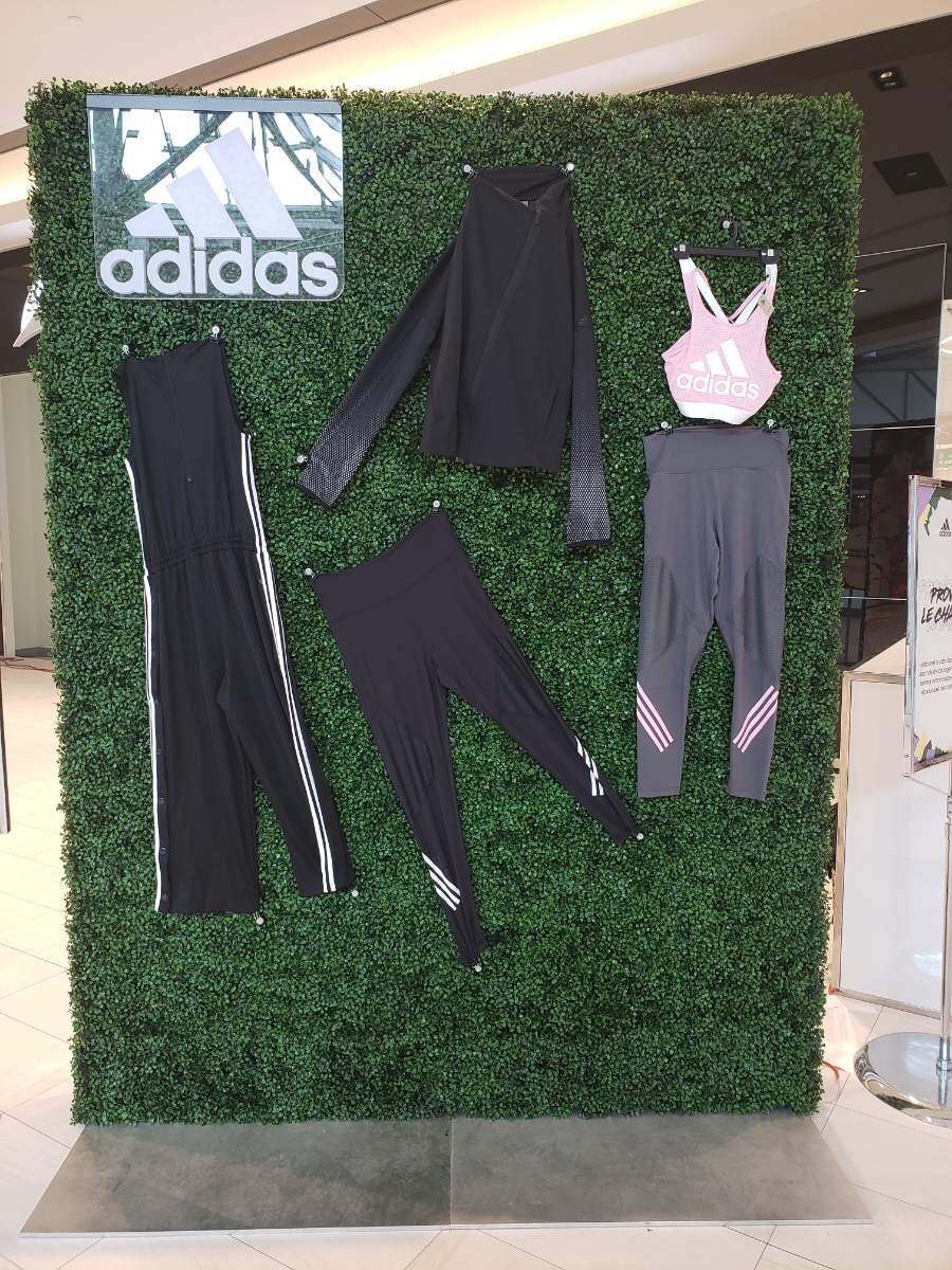 Resized_20190511_163210.jpeg