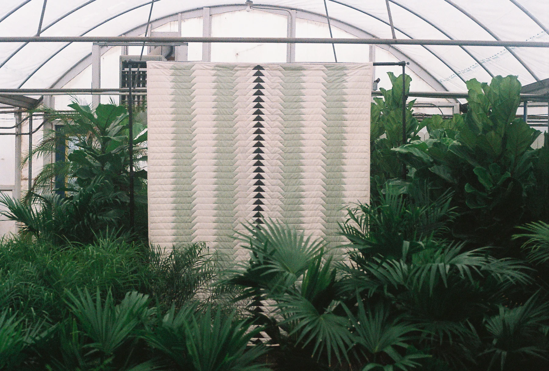 Harrow Quilt — M. Callahan