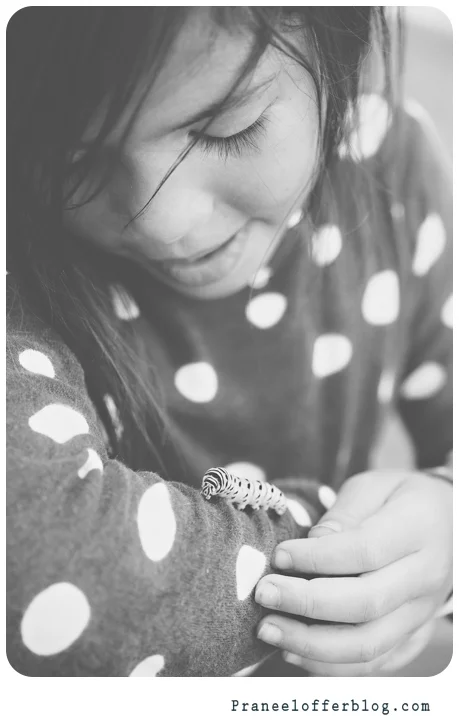 caterpillar (8 of 12)
