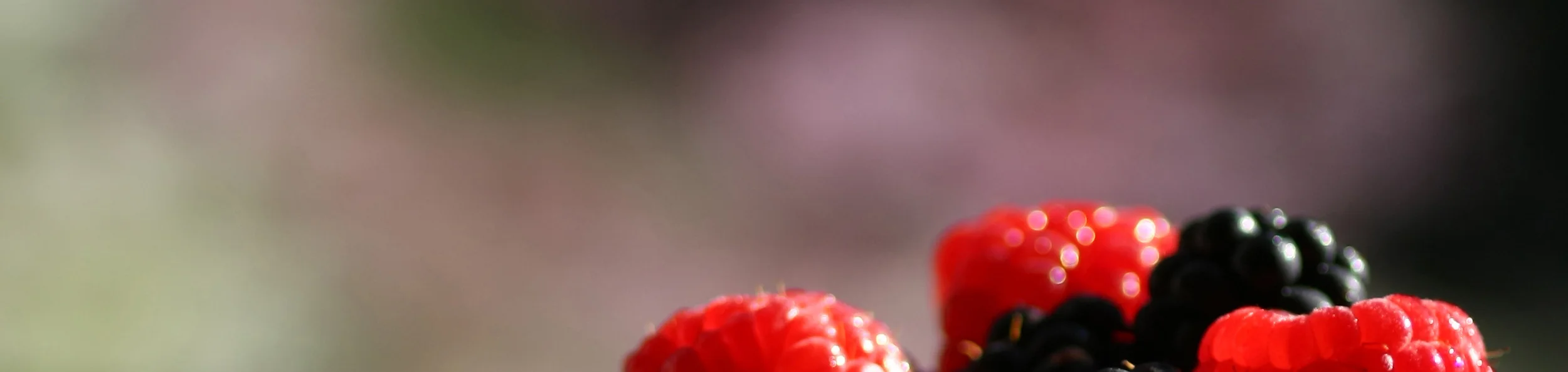 berries.jpg