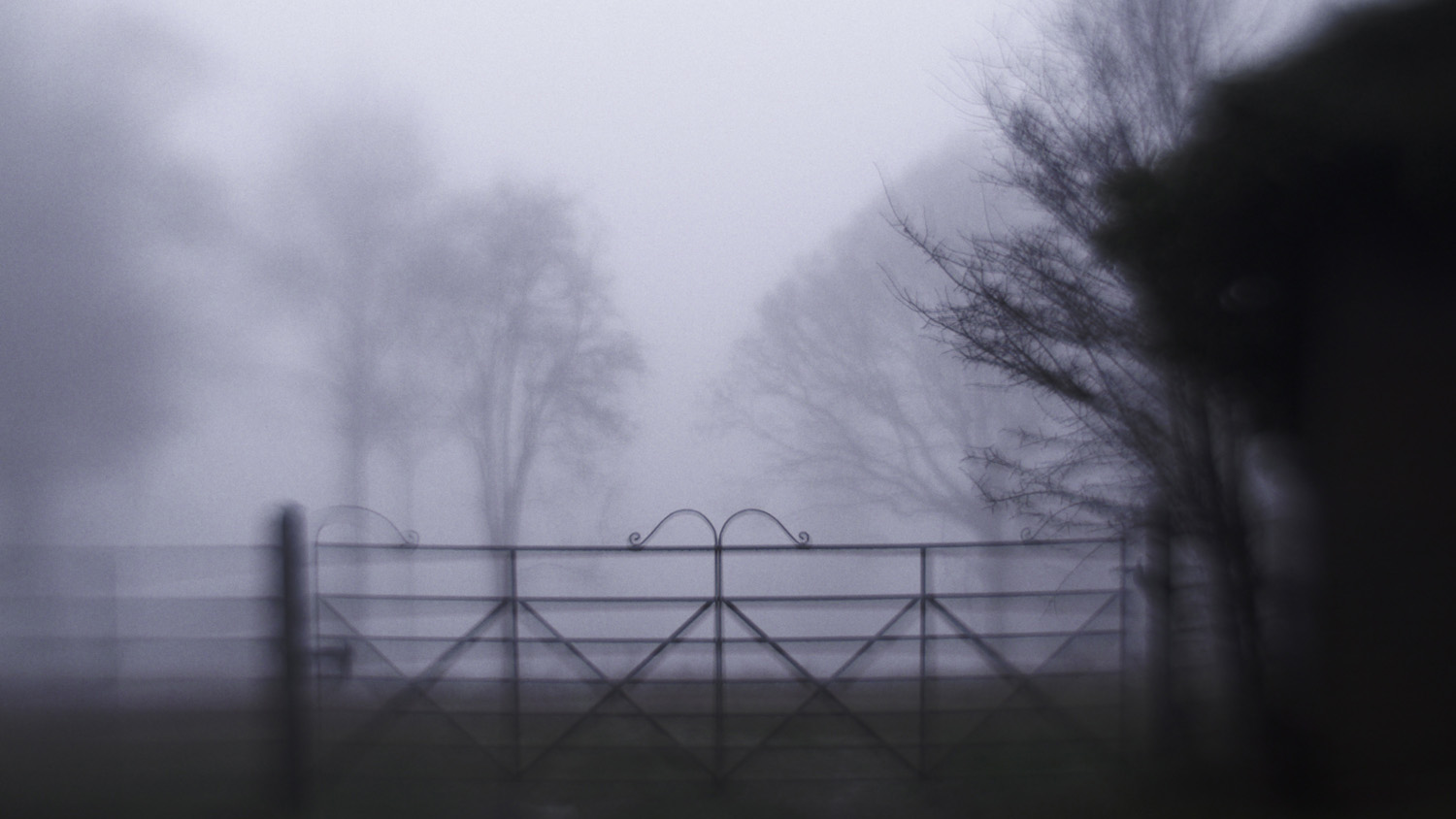 A Foggy Morning in my Home Town4.jpg