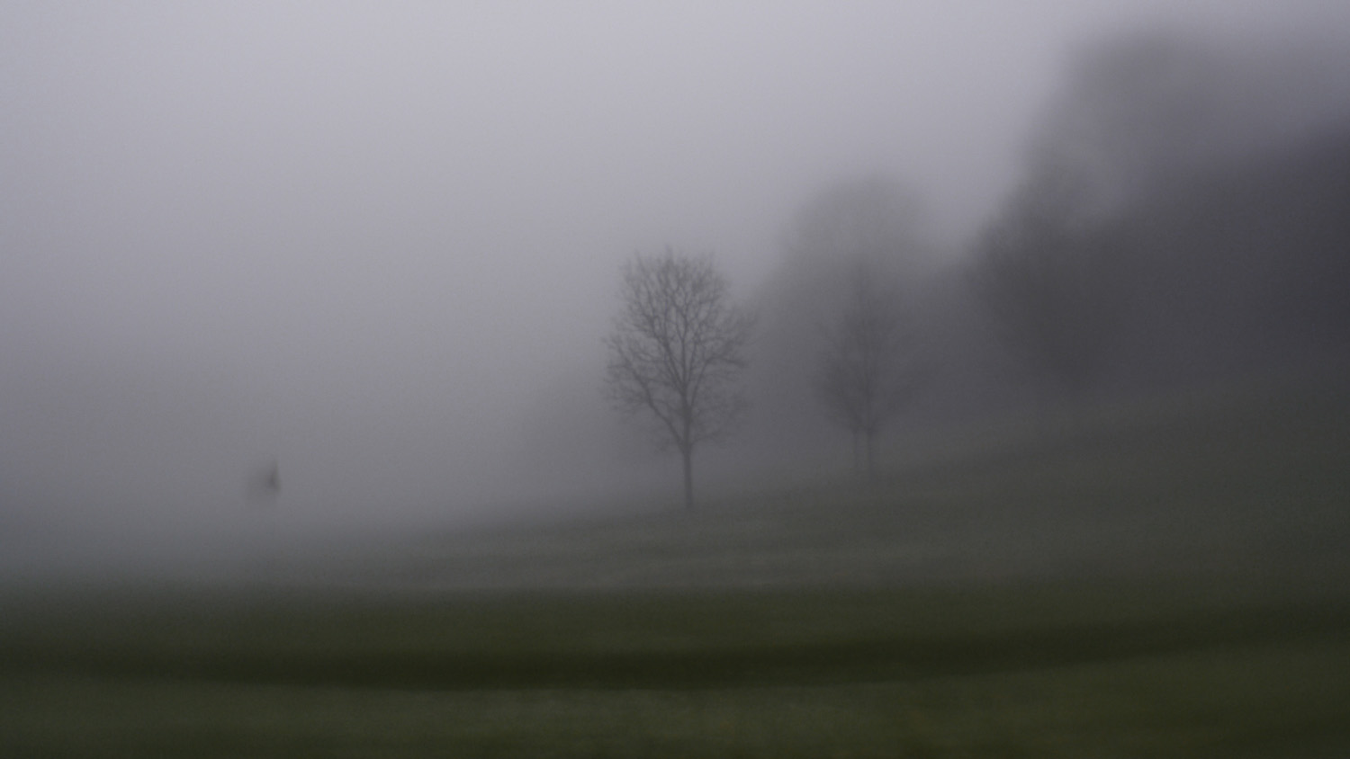 A Foggy Morning in my Home Town5.jpg